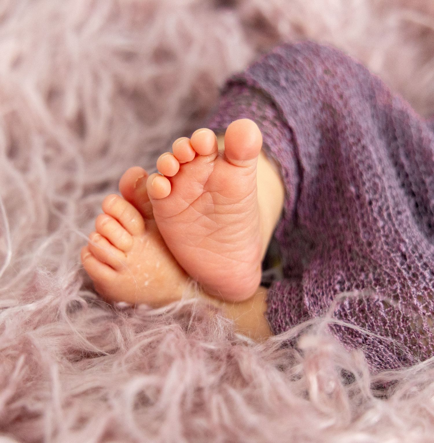 Shirley Cobb Photography
Newborn