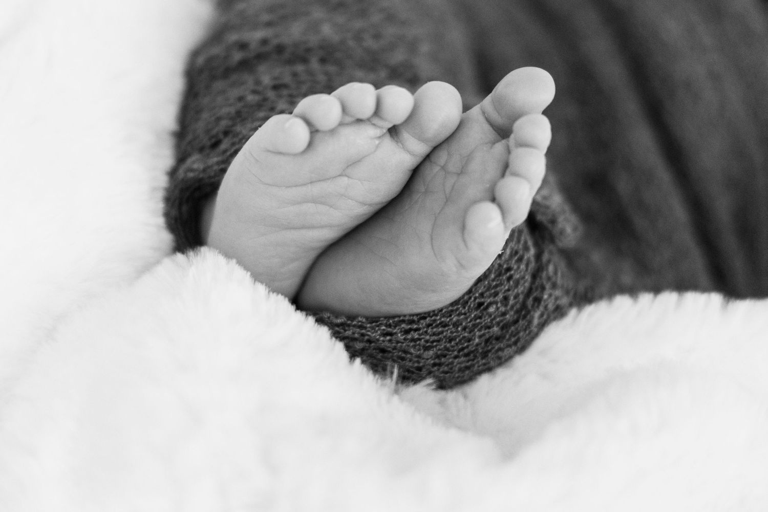 Shirley Cobb Photography
Newborn