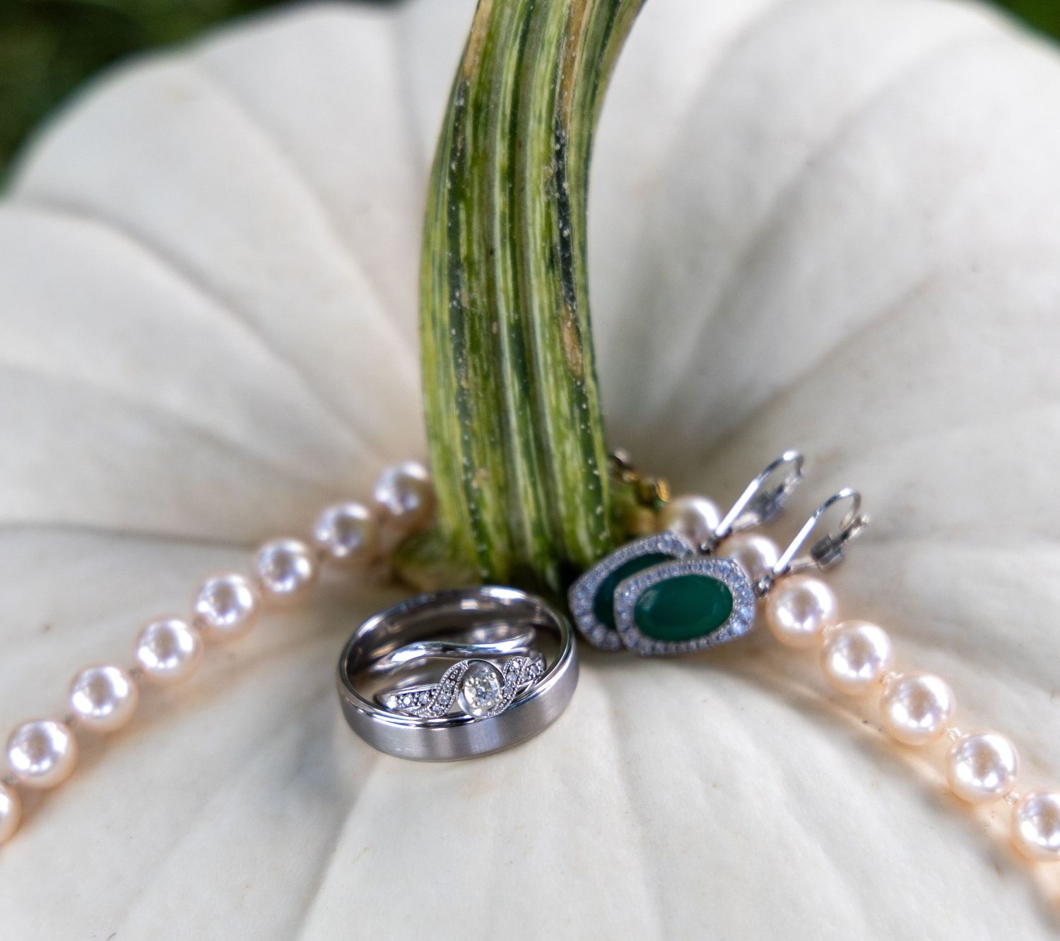 Shirley Cobb Photography
Wedding