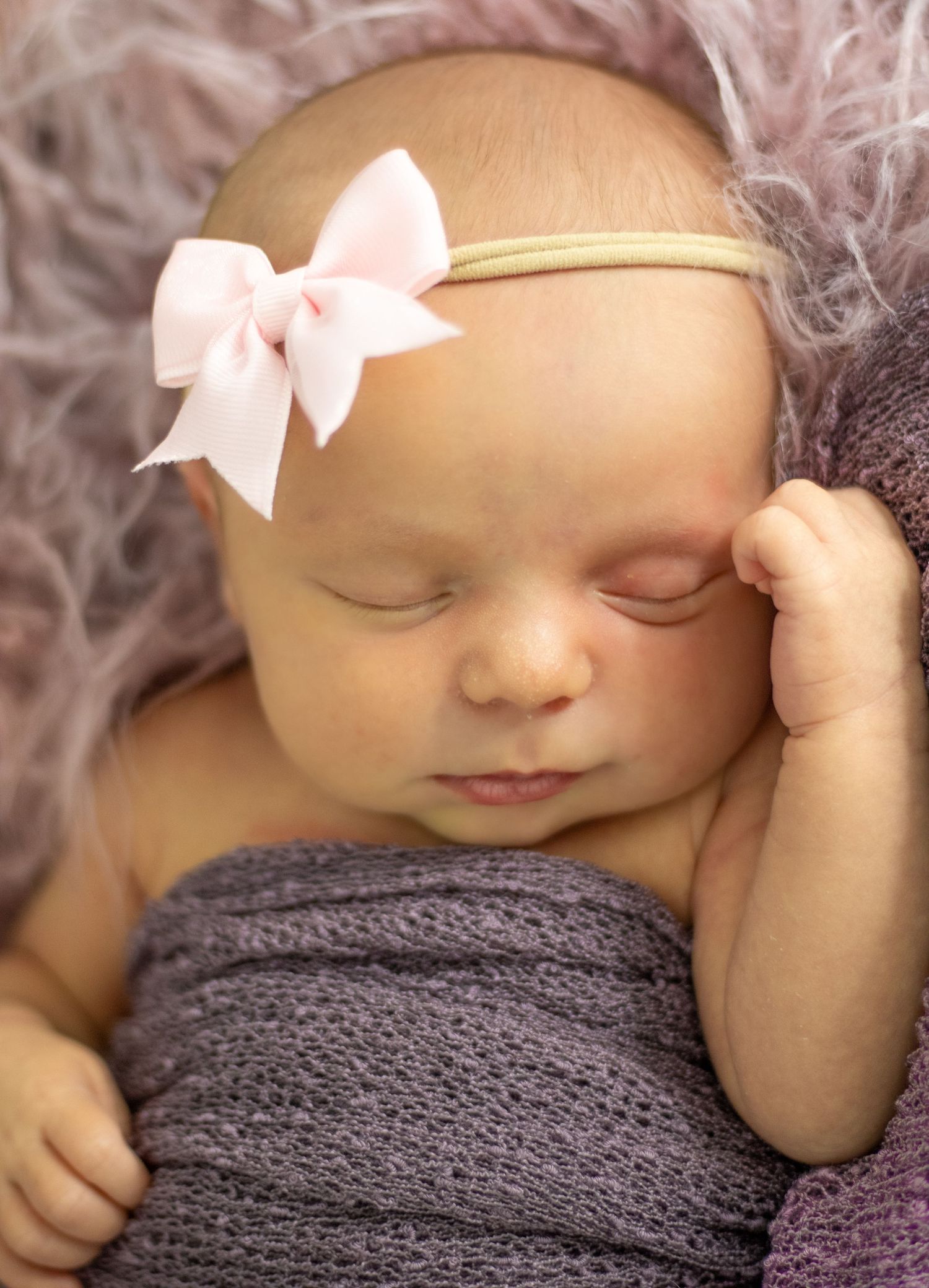 Shirley Cobb Photography
Newborn
