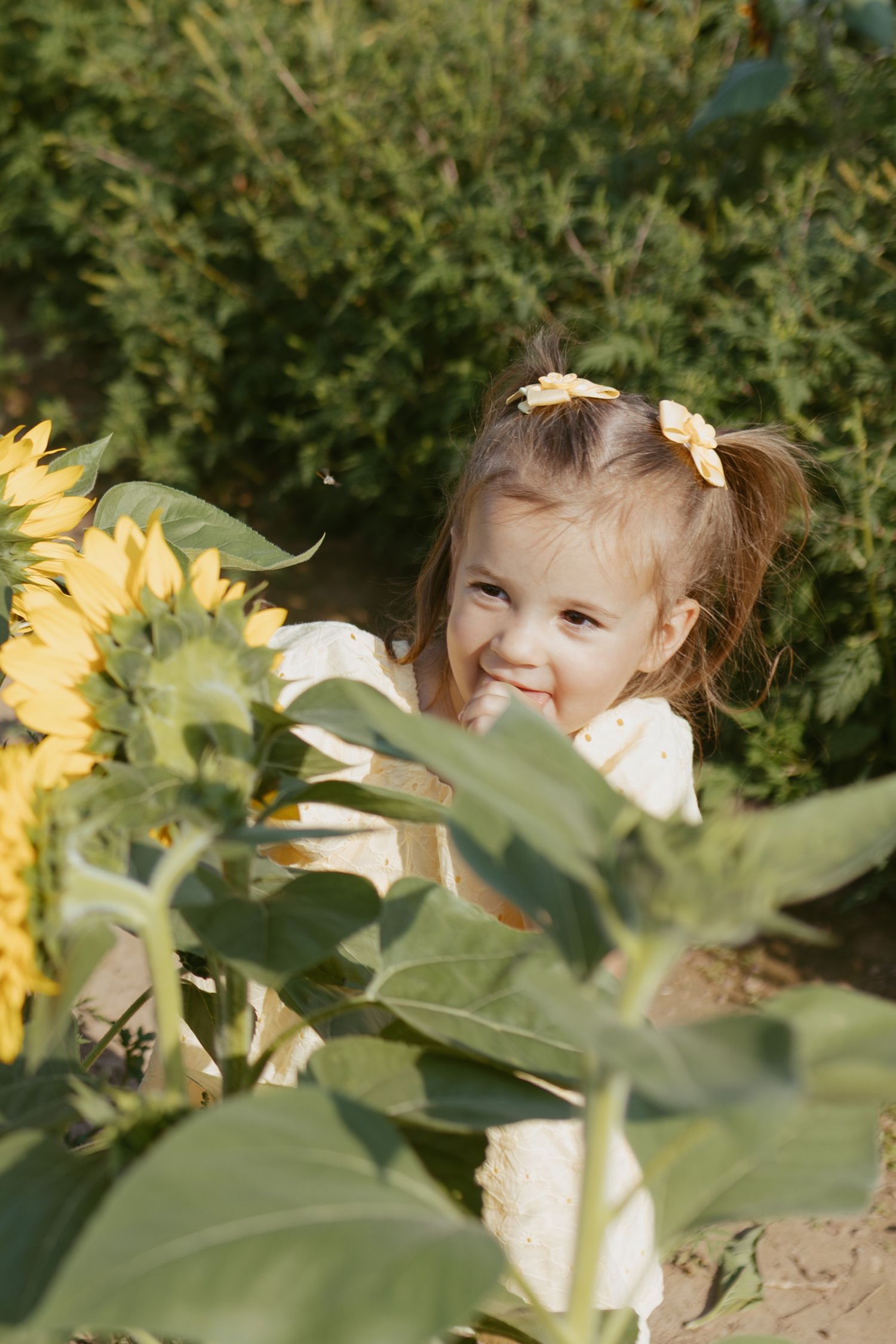 A cheerful little girl with pigtails smiles among tall sunflowers in a sunny garden field.