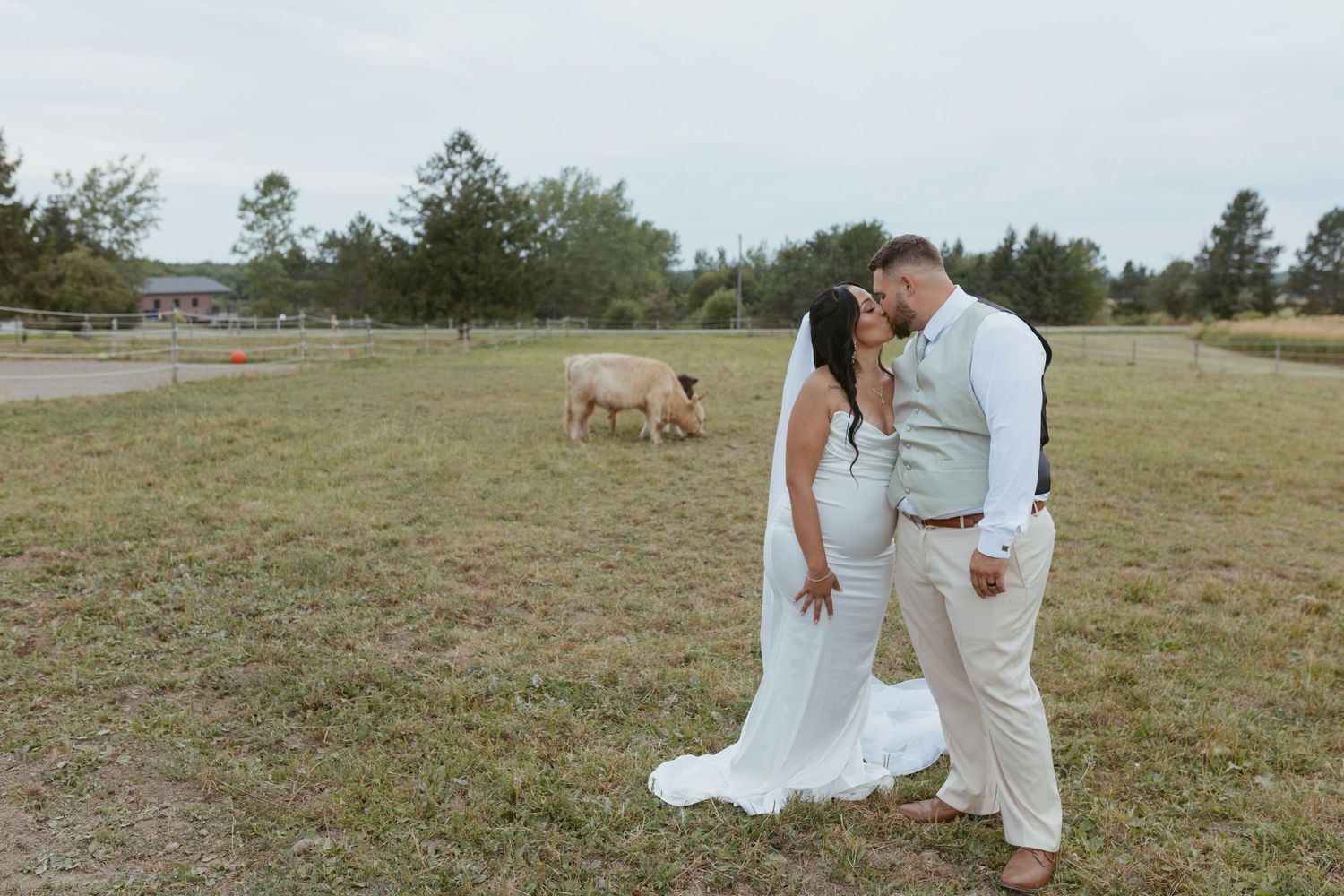 Bride and groom share a romantic moment on a farm, with sheep grazing in the background on their wedding day.