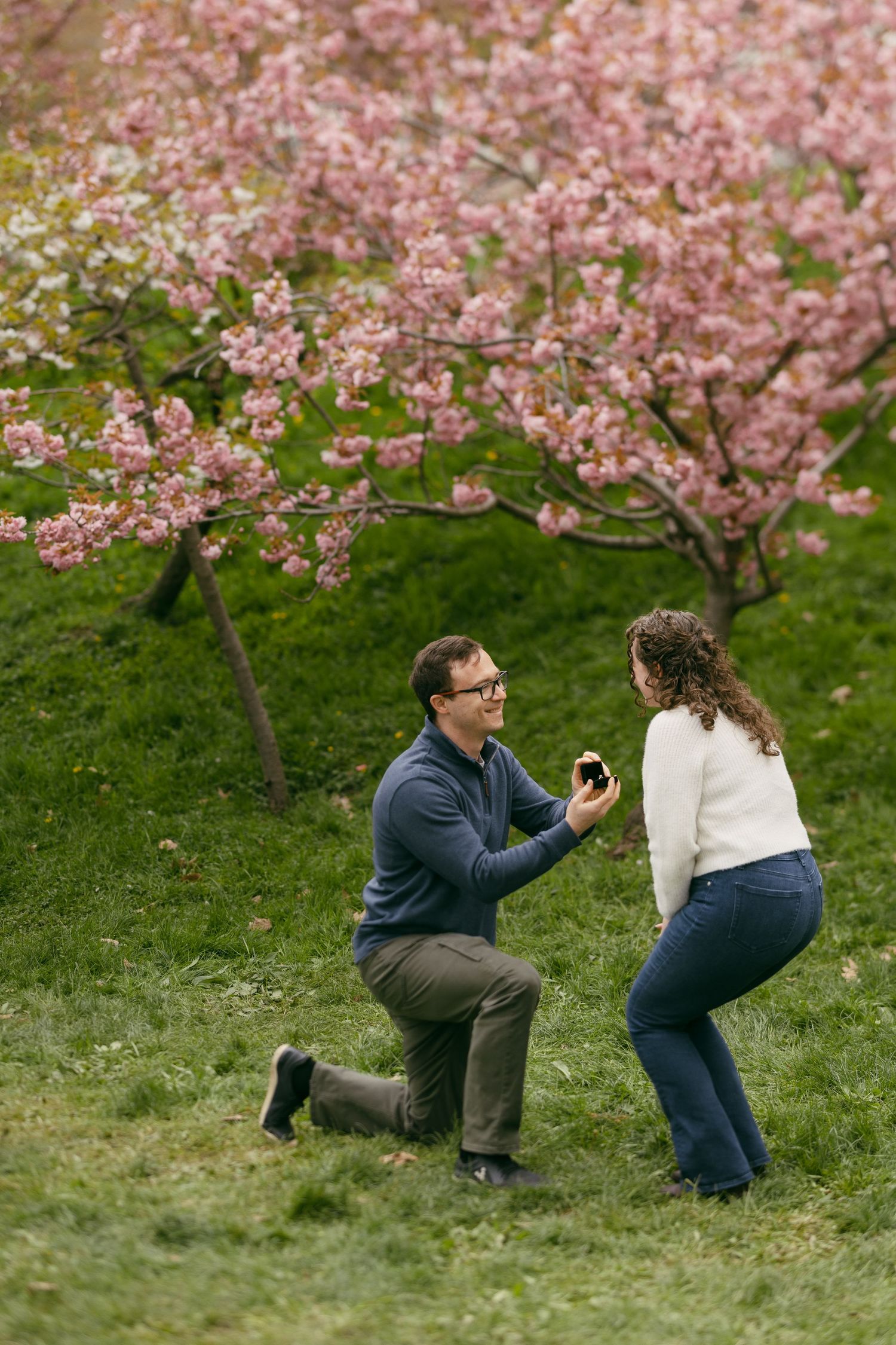 Man proposes on one knee to woman amid pink cherry blossom trees on a green hillside.
