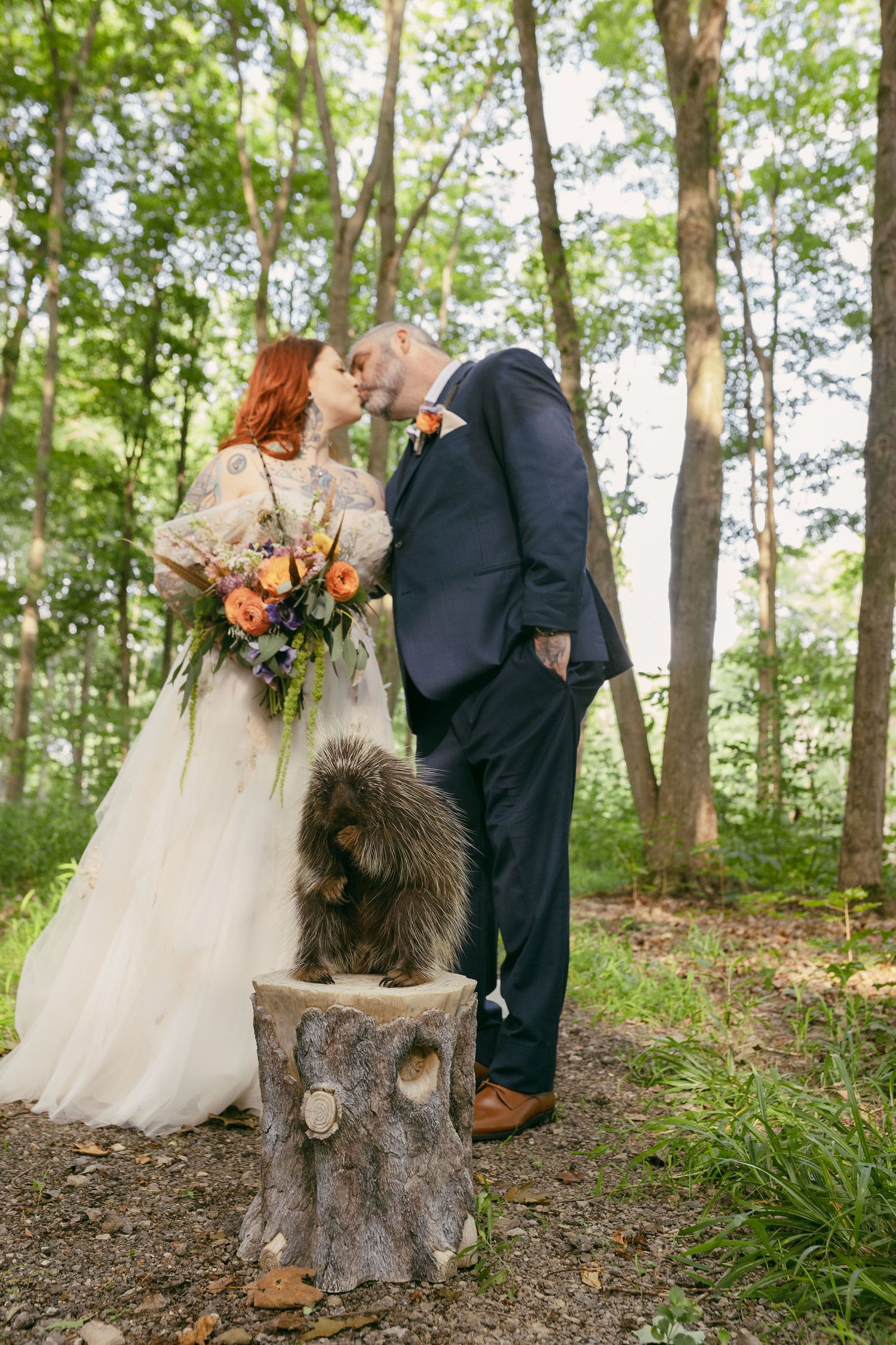 A romantic woodland wedding photo session featuring a couple and their dog posing on a rustic tree stump.