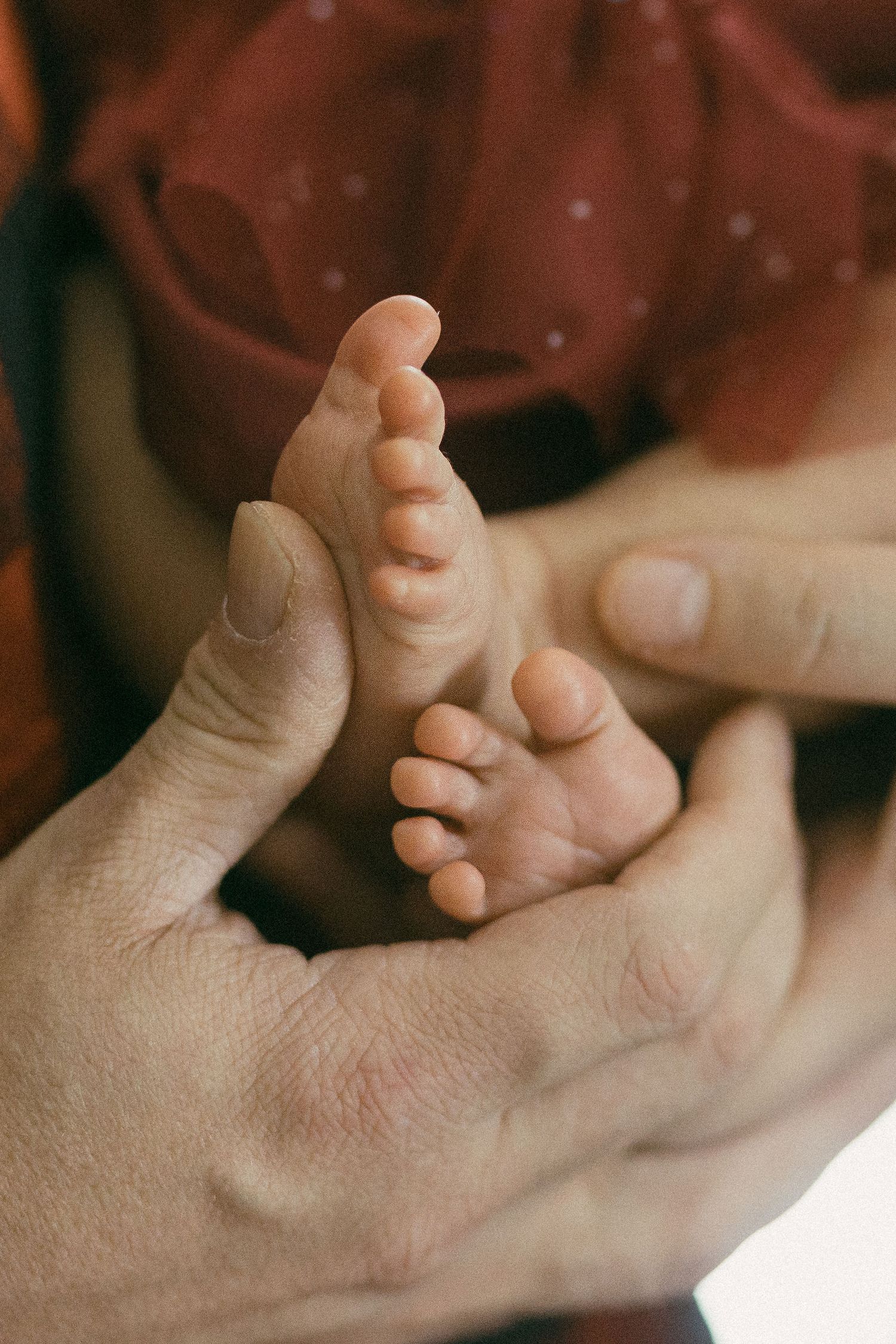 Delicate baby feet being gently held by adult hands in warm lighting.