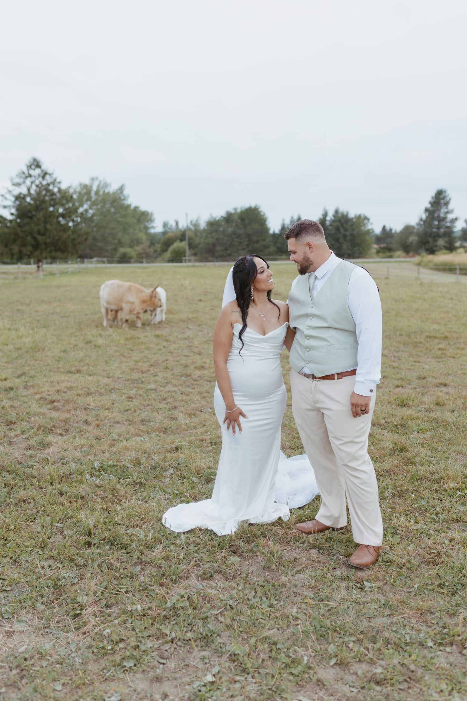 Bride and groom pose together in a farm field with cattle grazing in the background on their wedding day.