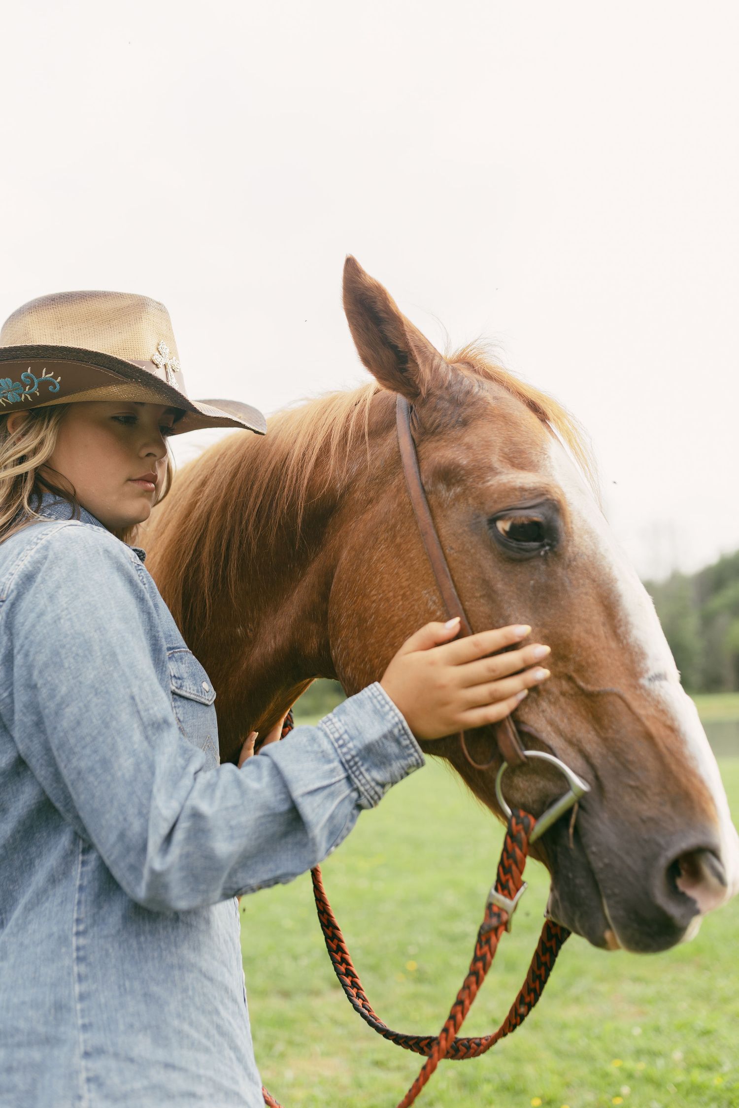 A person in casual wear and hat shares a tender moment with their horse in a sunny field.
