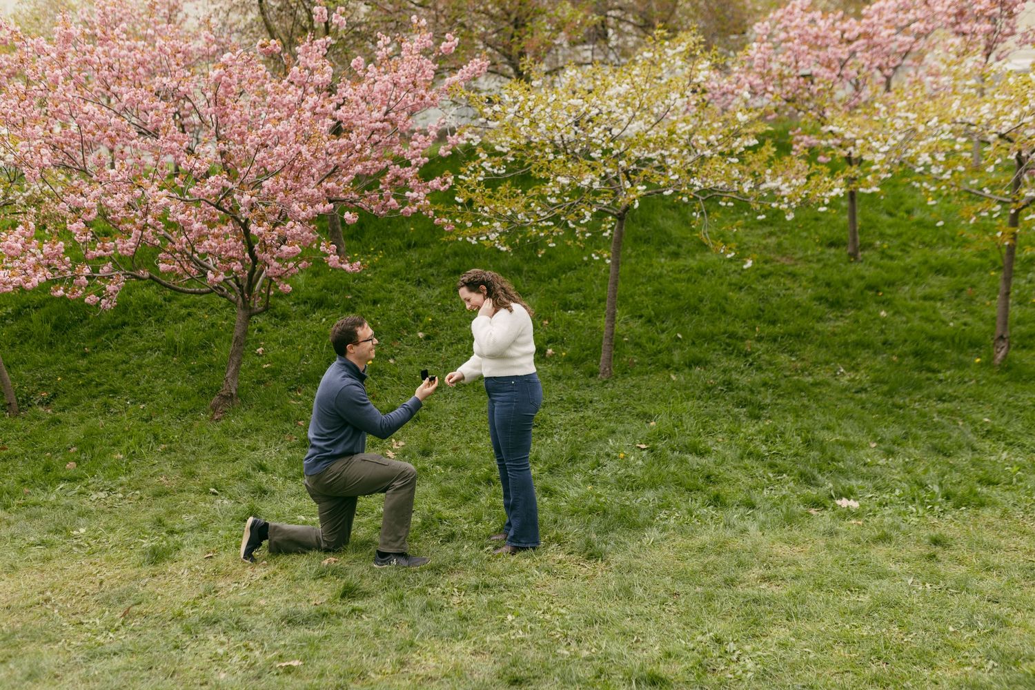 Man proposing to woman on one knee in a blooming cherry blossom park during spring.
