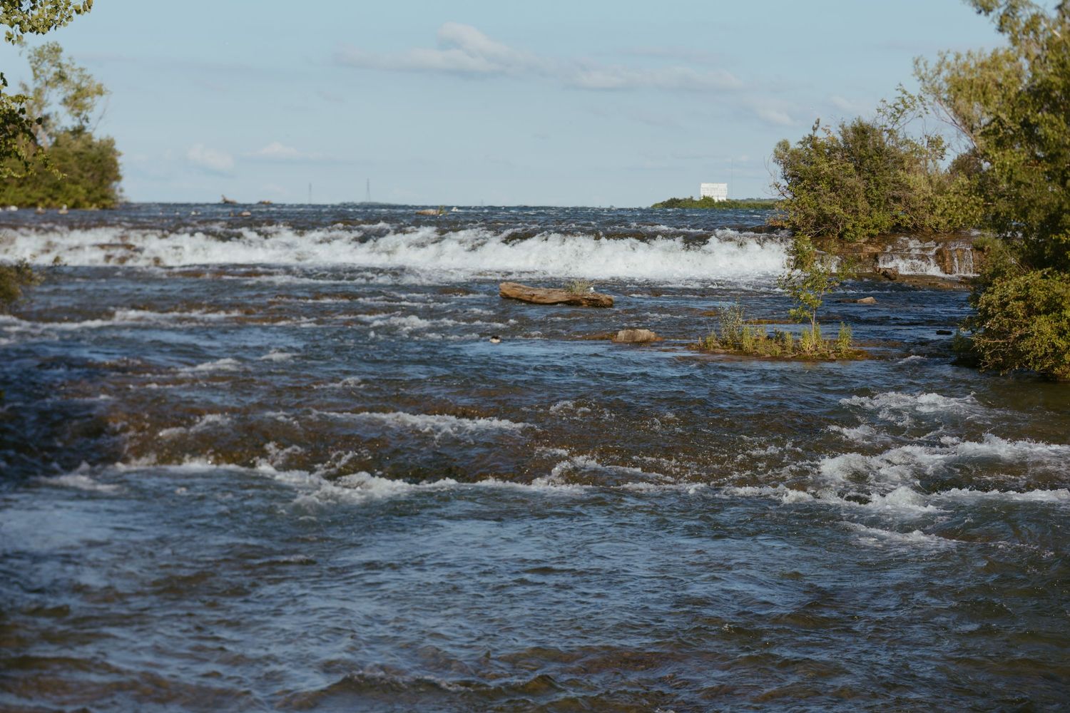 Rushing rapids flow over rocky terrain surrounded by lush green trees with a calm lake and distant shoreline in the background.