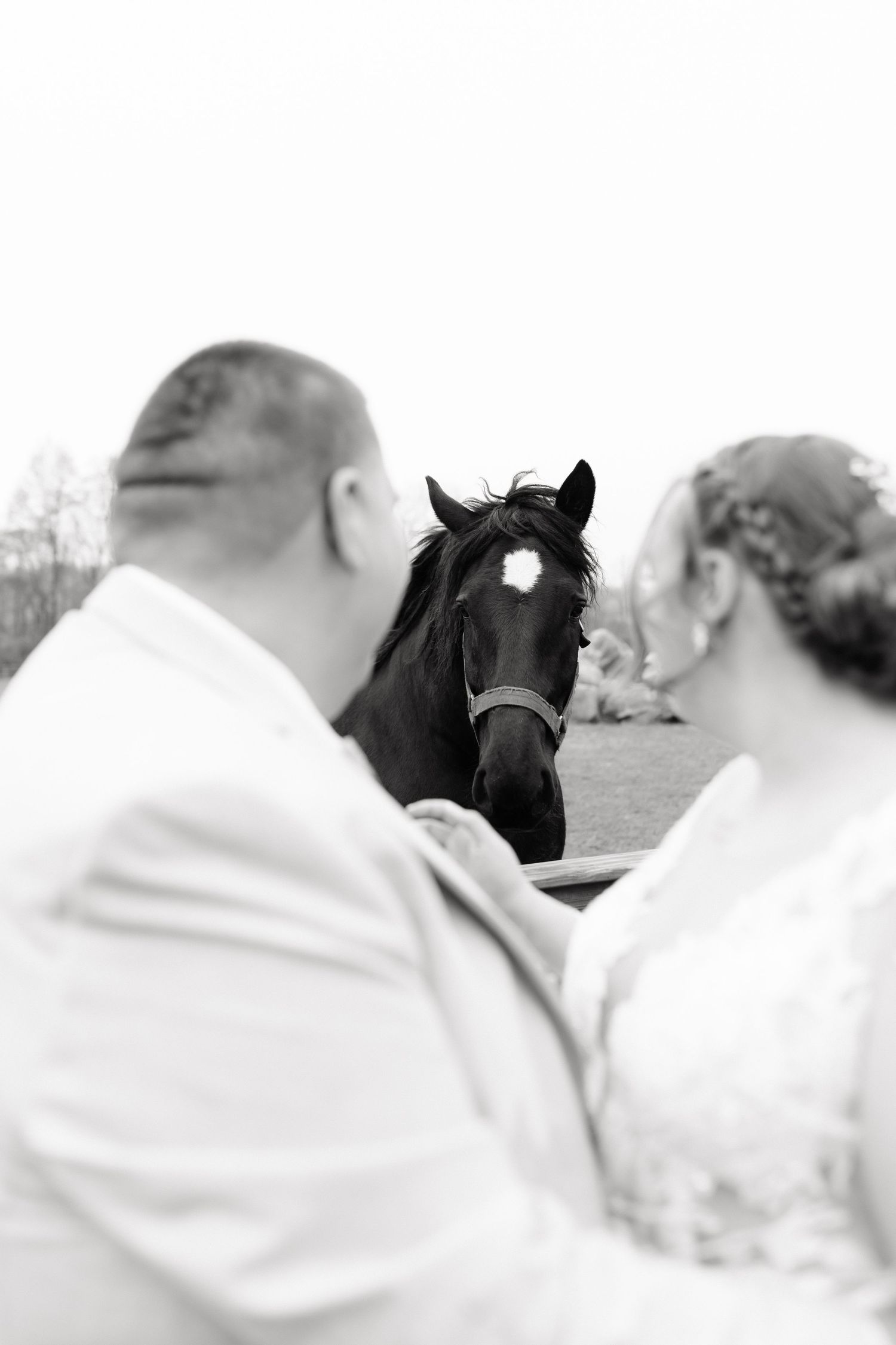 Black and white photo of a bride and groom facing a dark horse with a white star marking at their wedding.