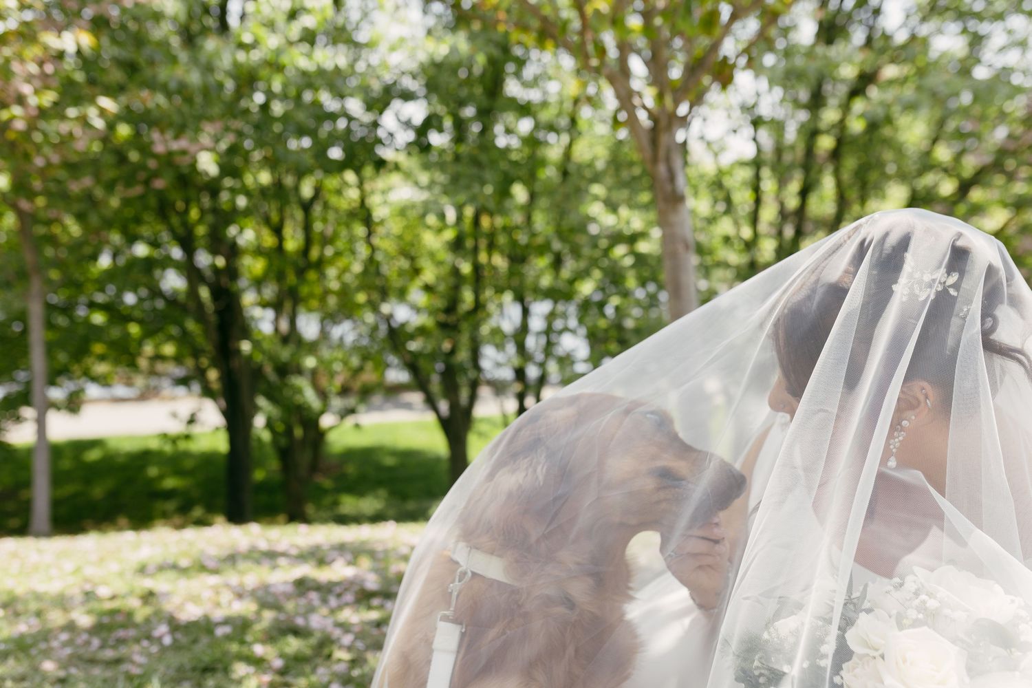 Bride and groom sharing a romantic moment hidden beneath the bride's flowing white wedding veil outdoors.