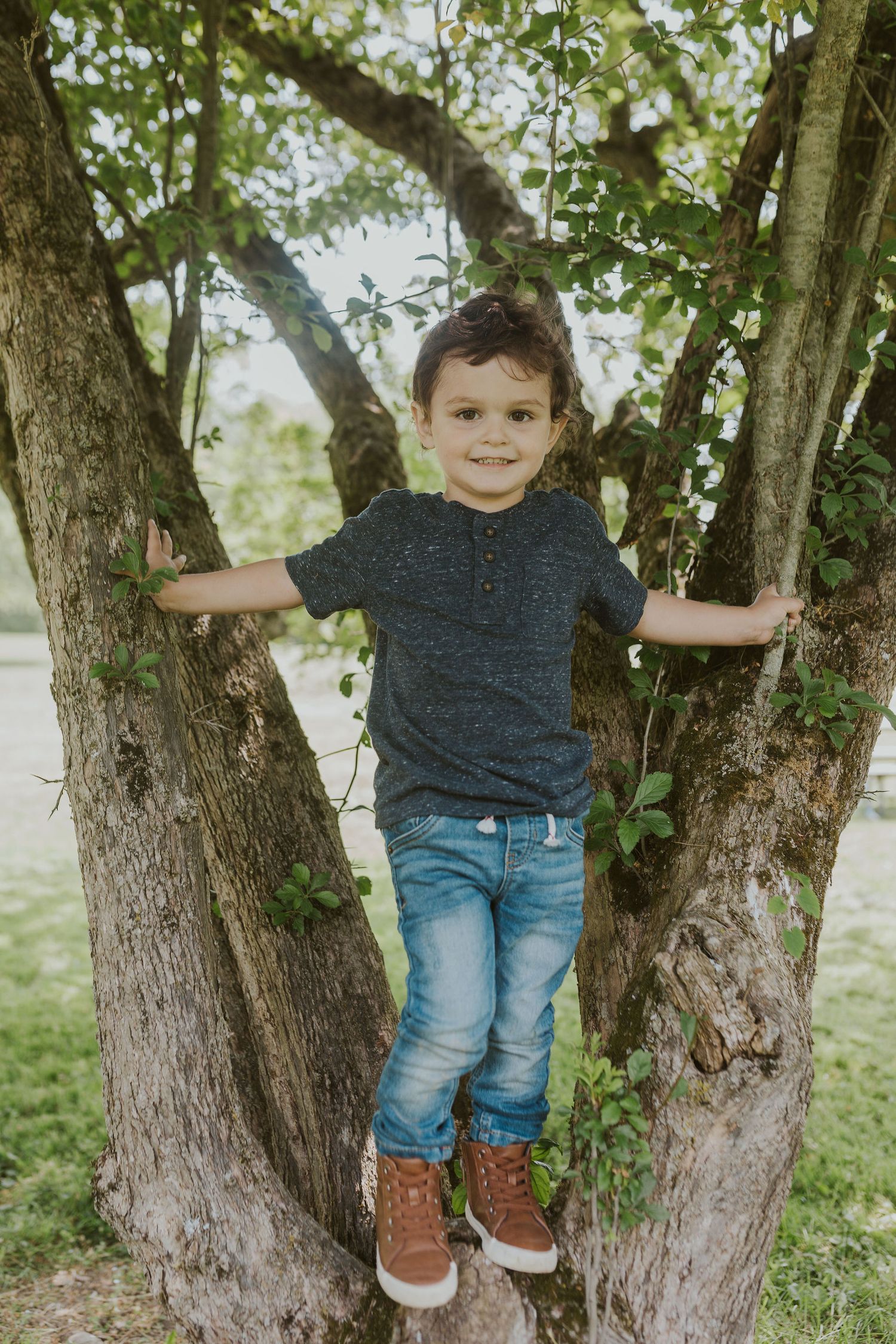 Child climbing and playing in a branching tree trunk wearing casual clothing.
