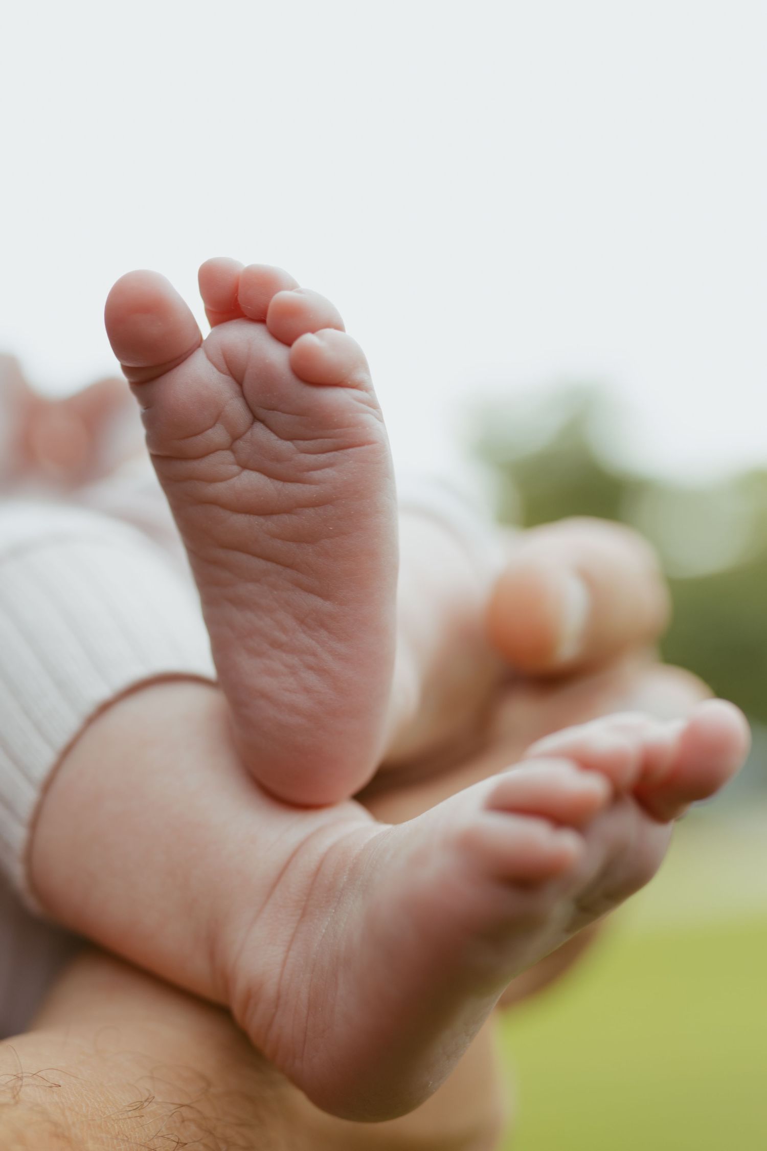 Close-up of tiny newborn baby feet held gently in an adult's hands outdoors.