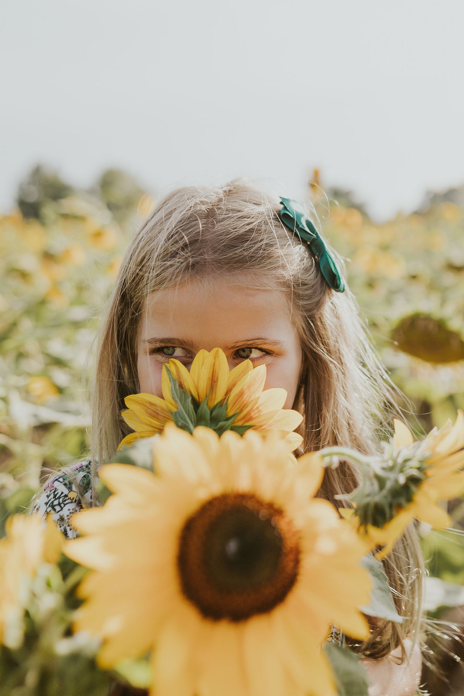 Young girl with blonde hair and green bow peeks over a sunflower in a vibrant sunflower field.