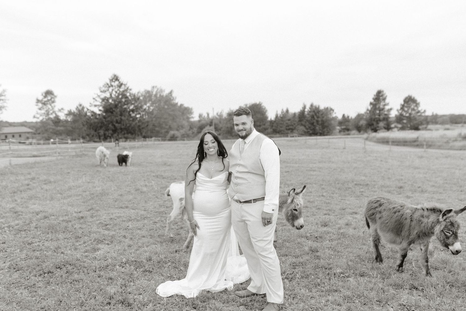 Black and white photo of a pregnant bride and groom posing in a field with donkeys and sheep on their wedding day.