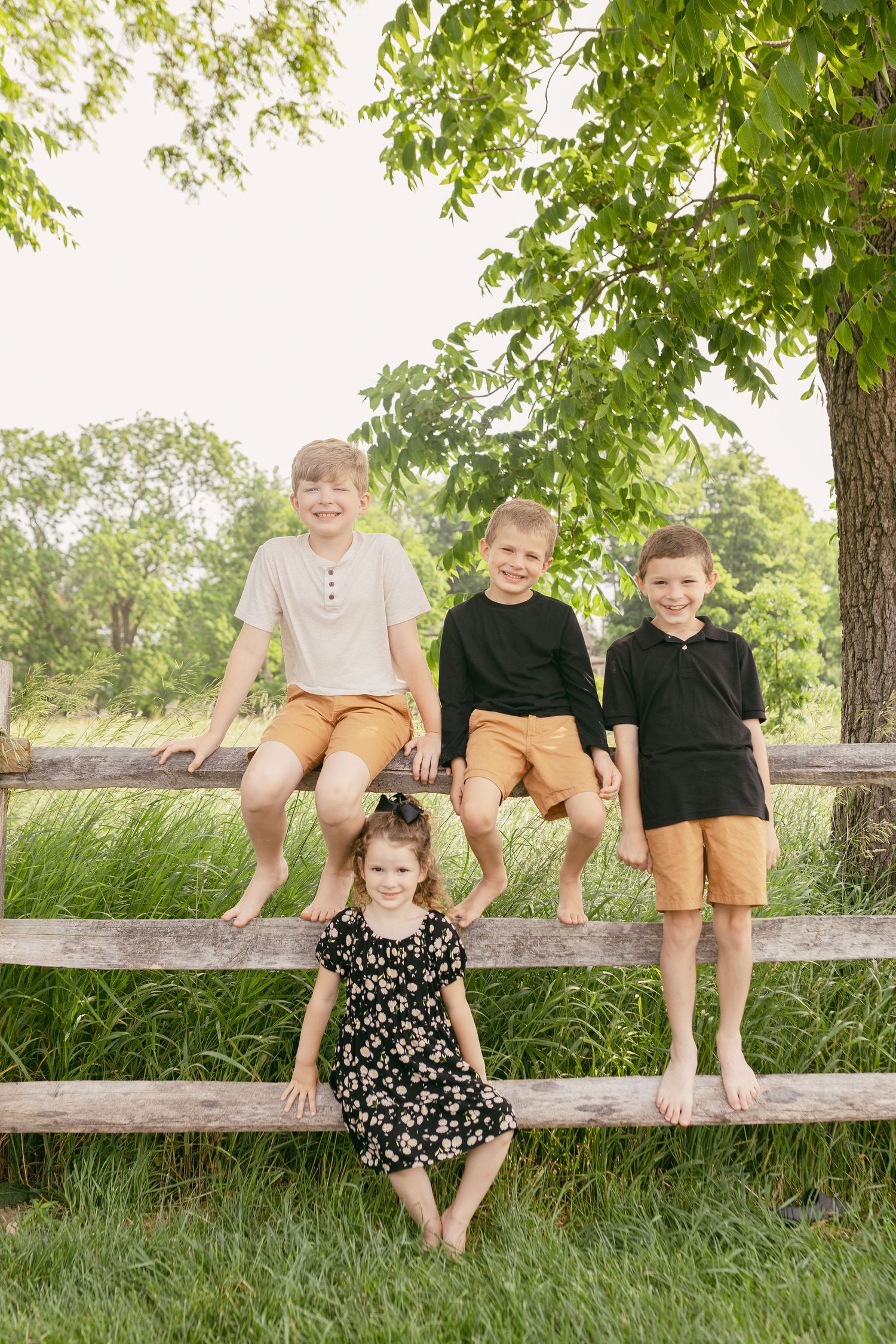 Group sitting casually on a wooden fence in a sunny field with trees.