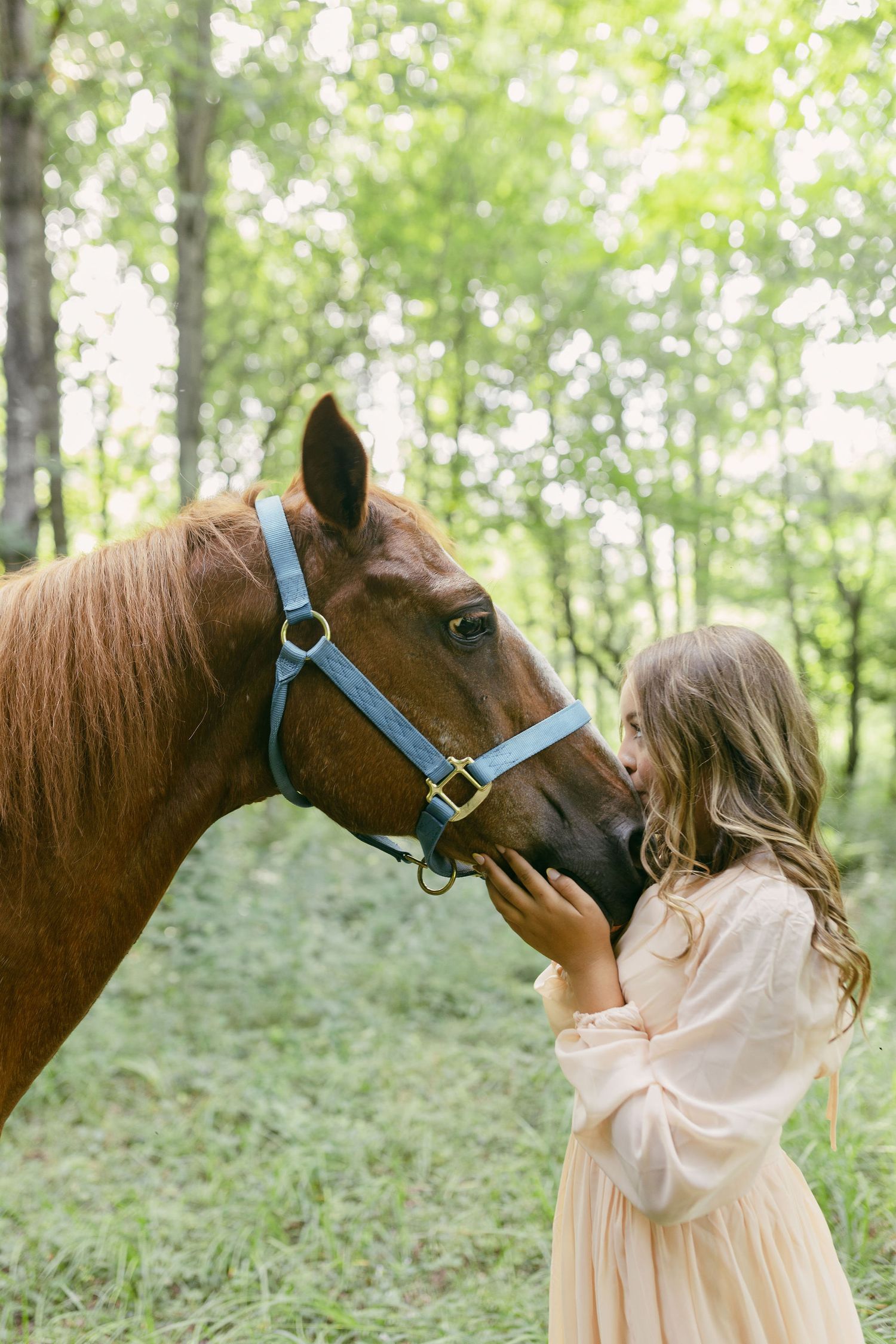 A horse wearing a blue halter receives affection in a wooded setting.