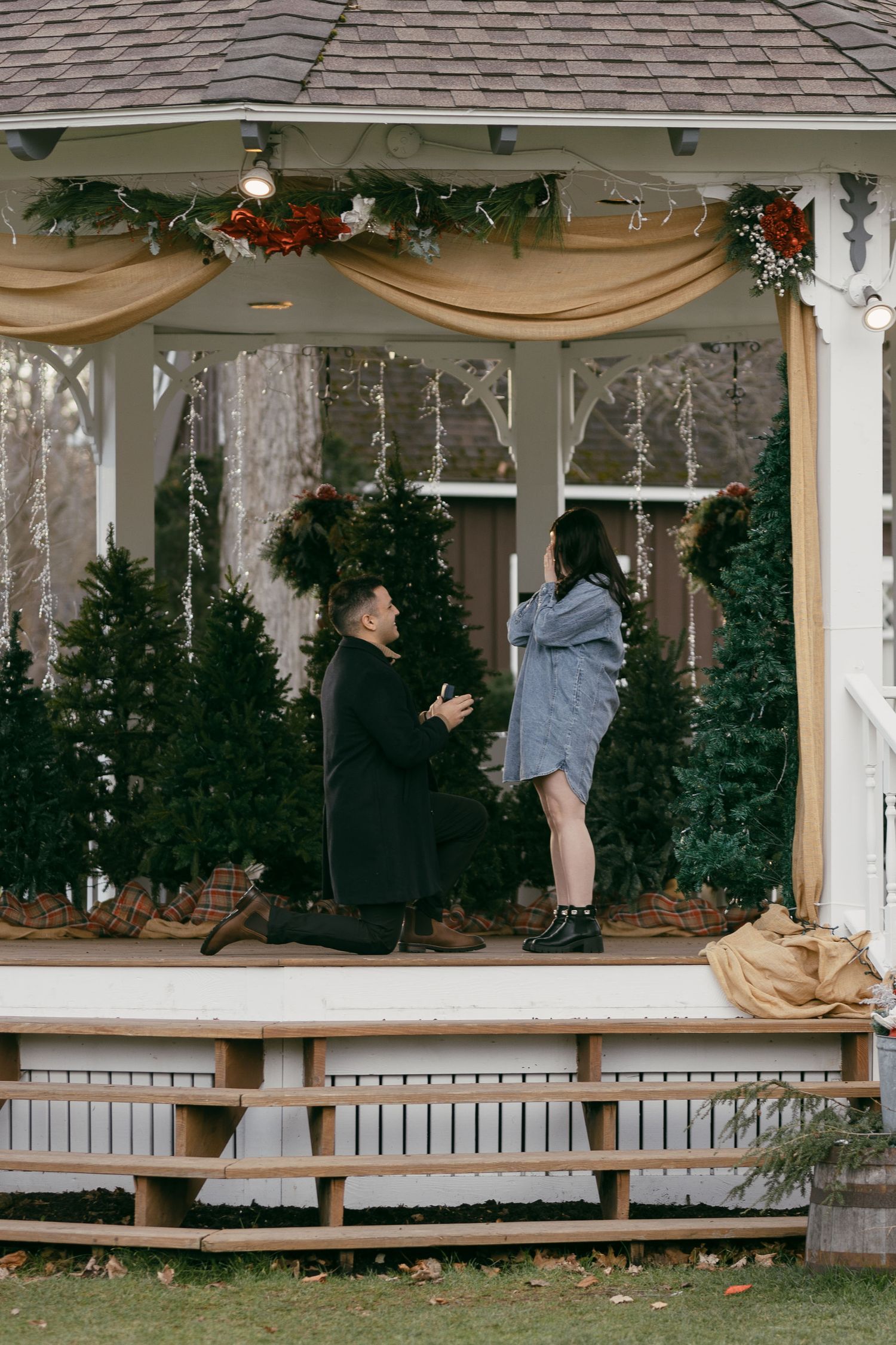 Man proposing on one knee in a decorated gazebo with Christmas trees during the holidays.