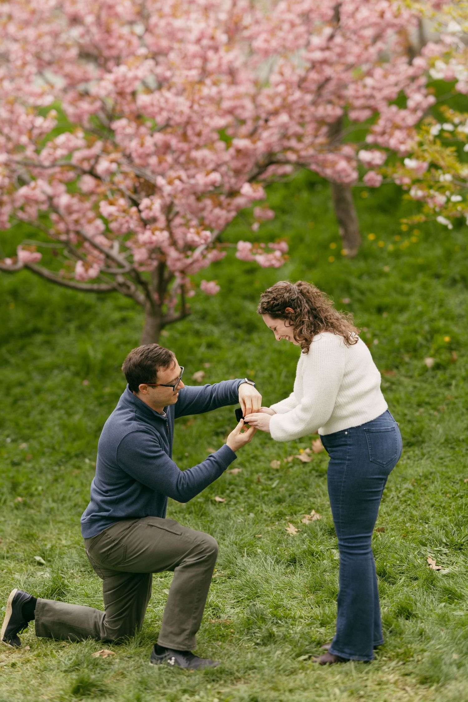 Man proposes on one knee to woman in white sweater amid pink cherry blossoms in a lush green park.