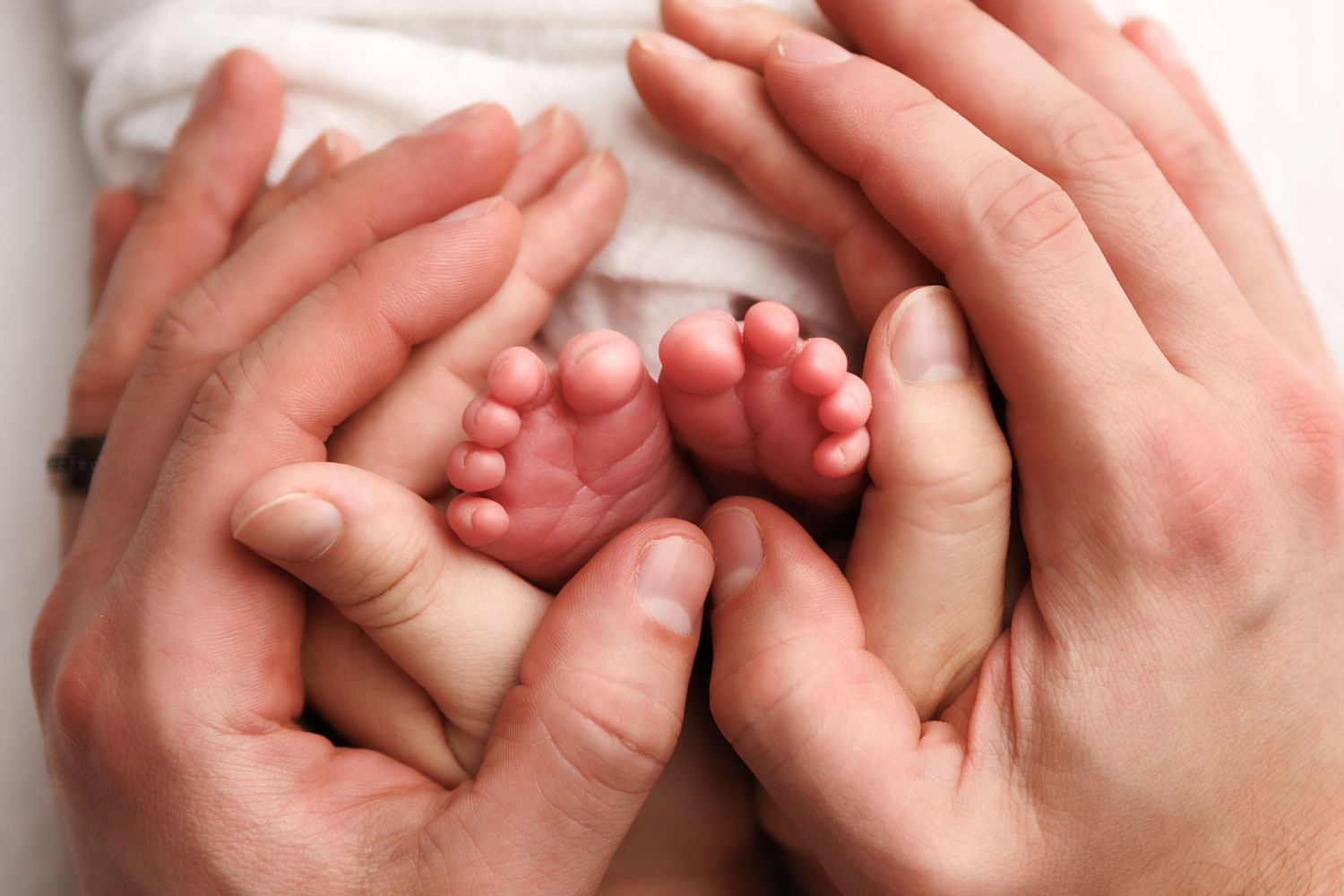 A row of tiny newborn baby feet being gently held by adult hands against a white background.