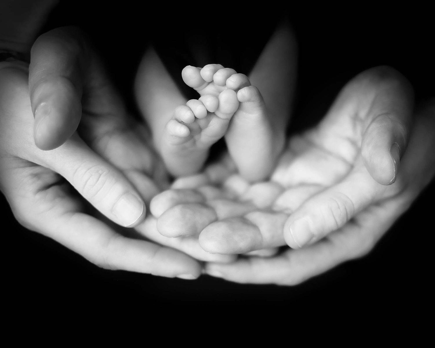 Black and white close-up series of hands gently cradling tiny feet.