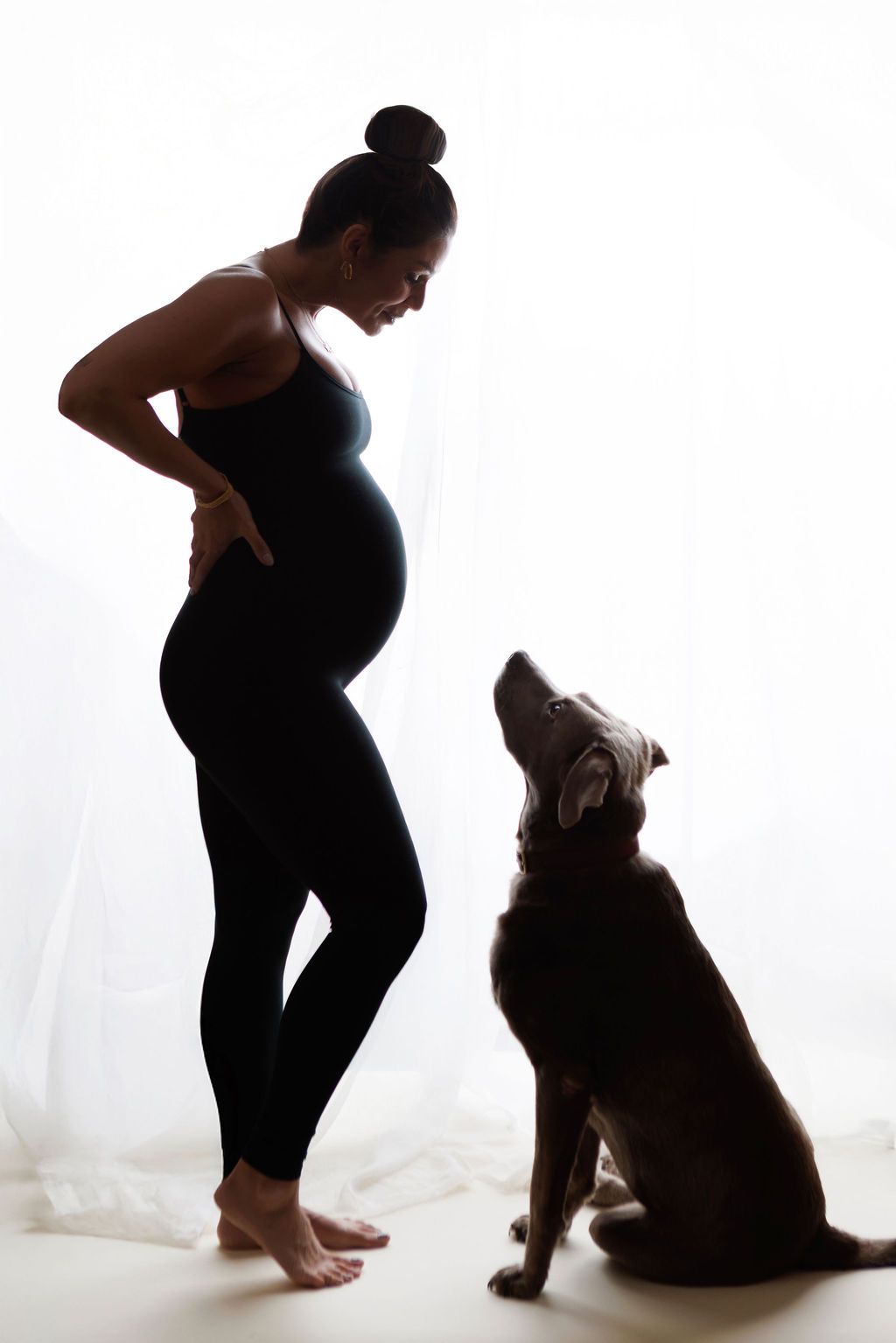 Silhouette of pregnant woman in black outfit with Weimaraner dog by white curtain.