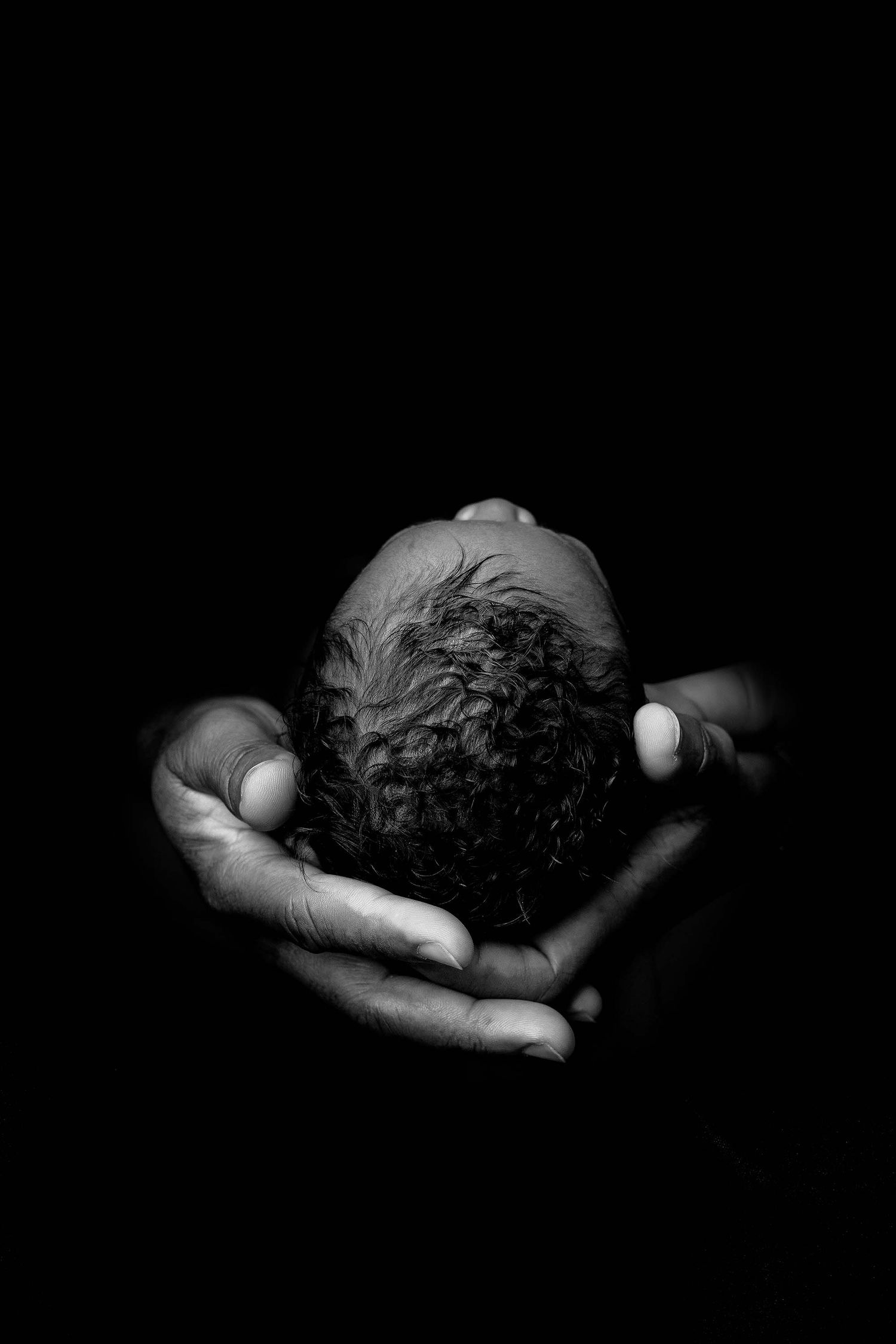Dramatic black and white portrait series showing baby nestled in caring hands.