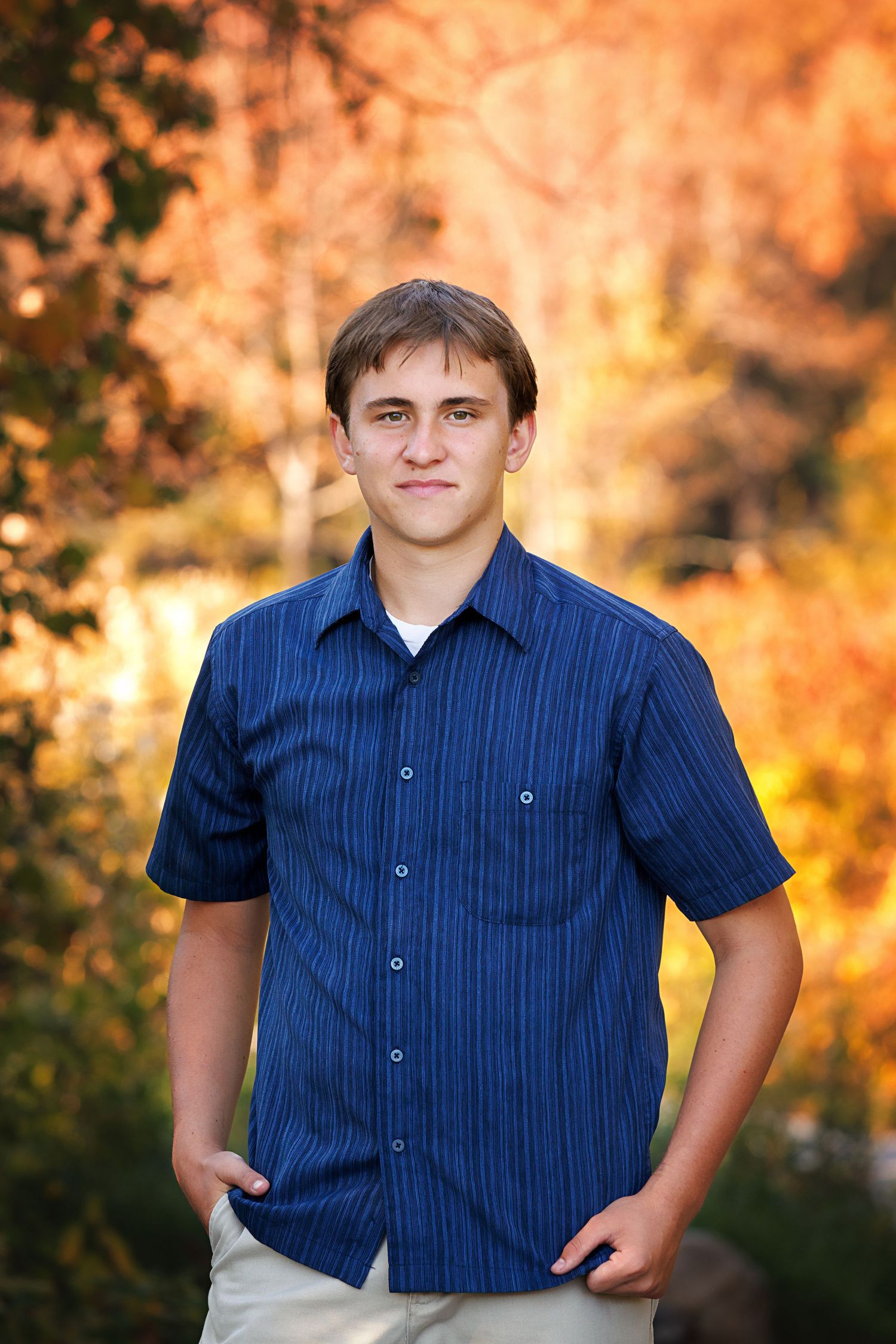 A series of outdoor portrait photographs in a blue striped shirt against a warm autumn background with golden bokeh lighting. Senior.