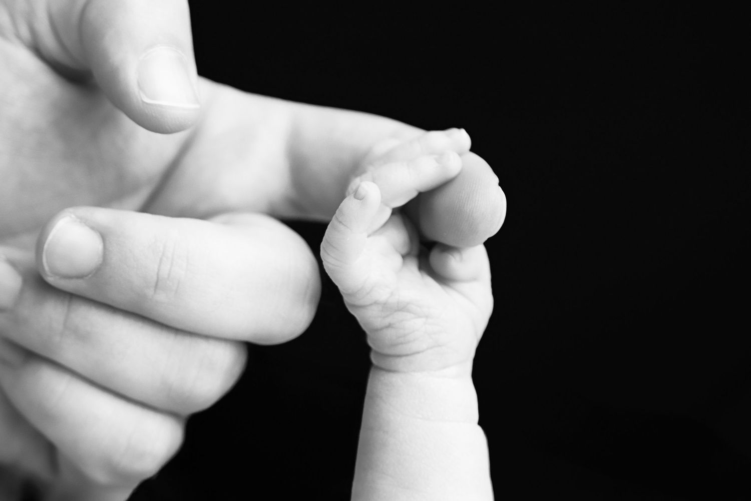 Black and white close-up of a newborn baby grasping an adult finger, symbolizing new life and parental bond.