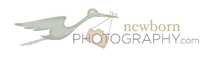A minimalist logo design featuring two duck silhouettes and text reading 'PHOTOGRAPHY.com' in gray.