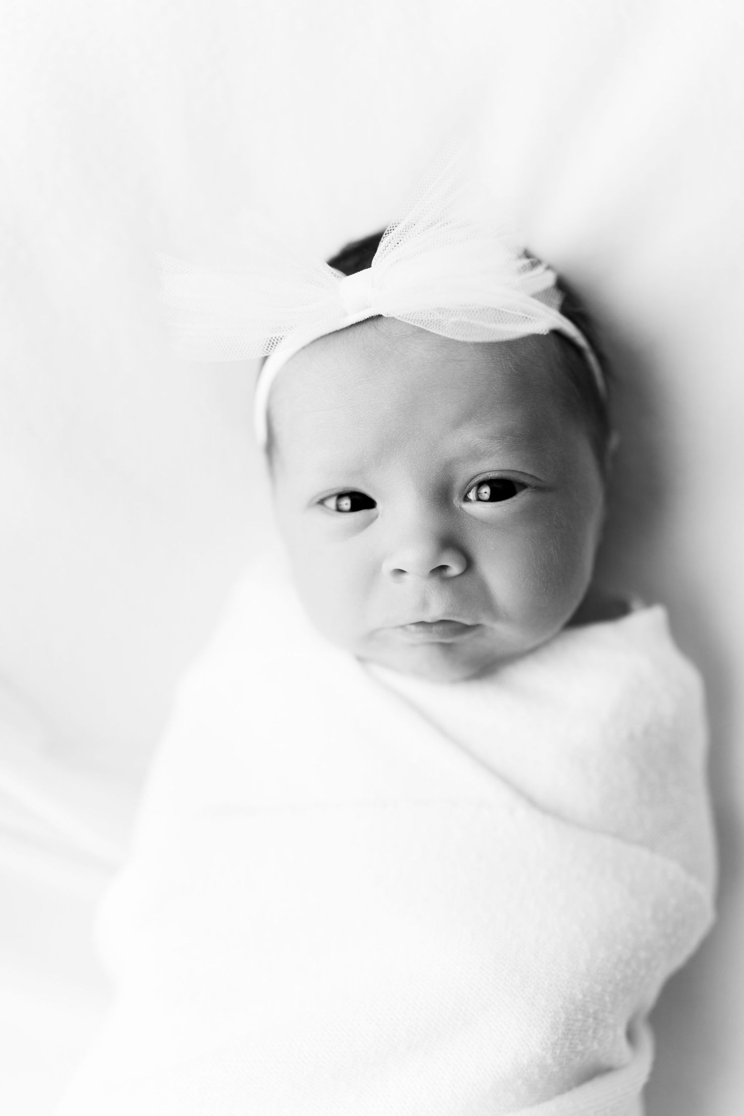 Black and white newborn photo of a swaddled baby girl wearing a white bow headband, looking at the camera.