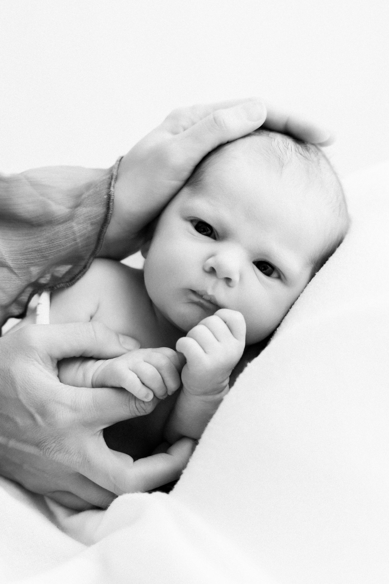 Black and white portrait of a tiny baby with hand sucking reflex being gently held by adult hands.
