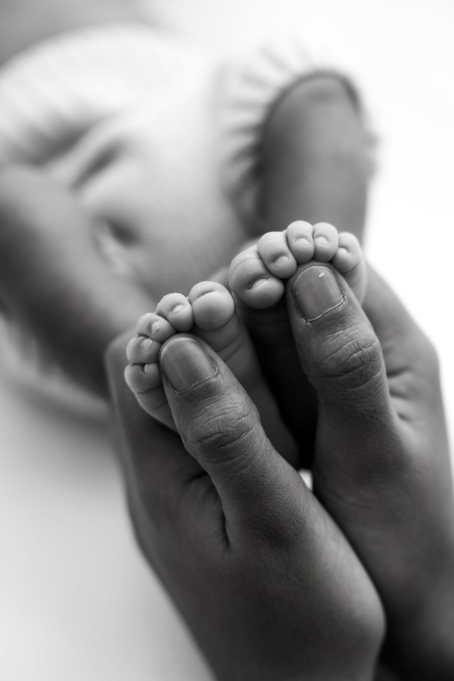 Black and white macro shot of newborn baby toes showing delicate details.