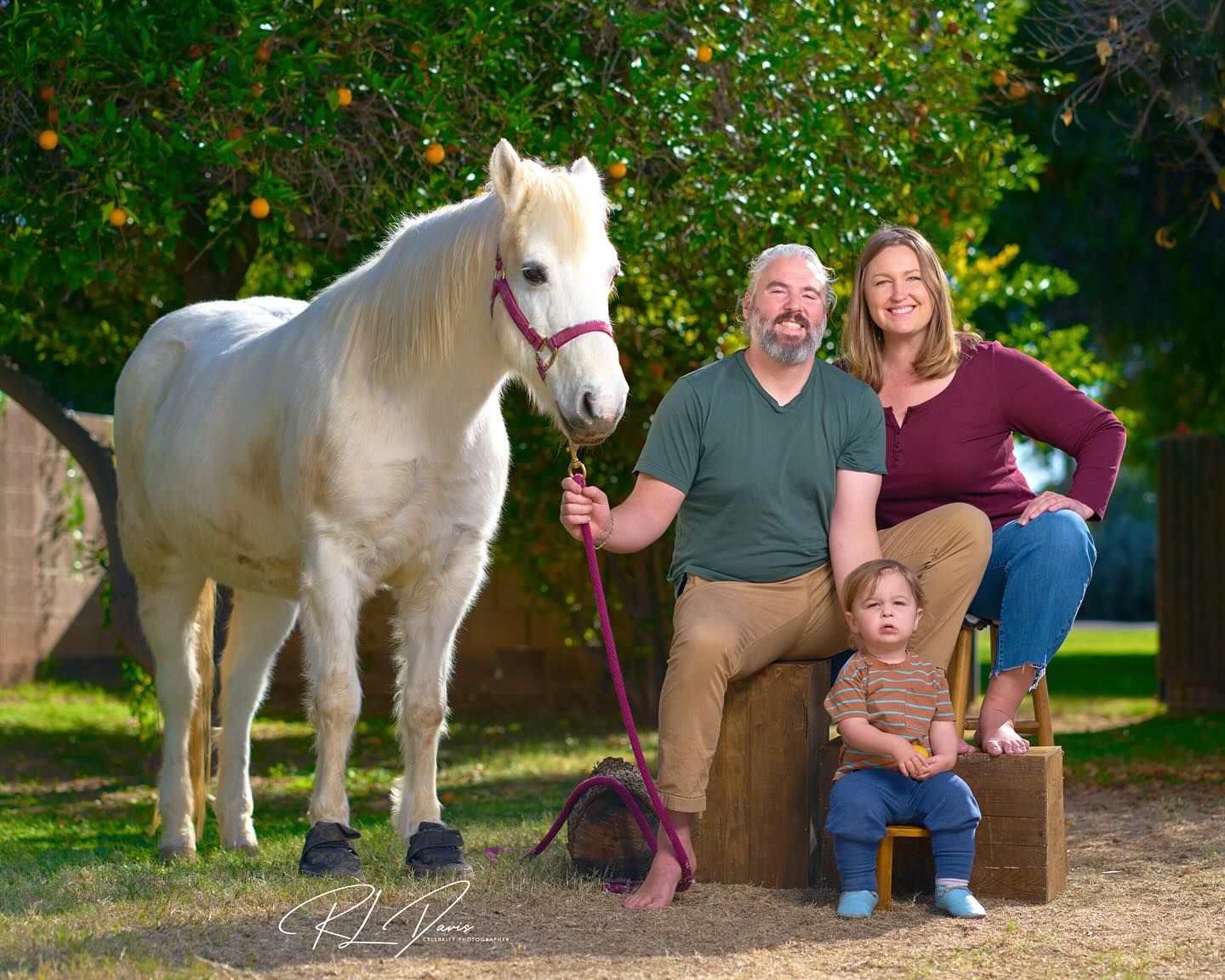 A beautiful white horse stands in a garden setting with people gathered around. Photographer RL Davis