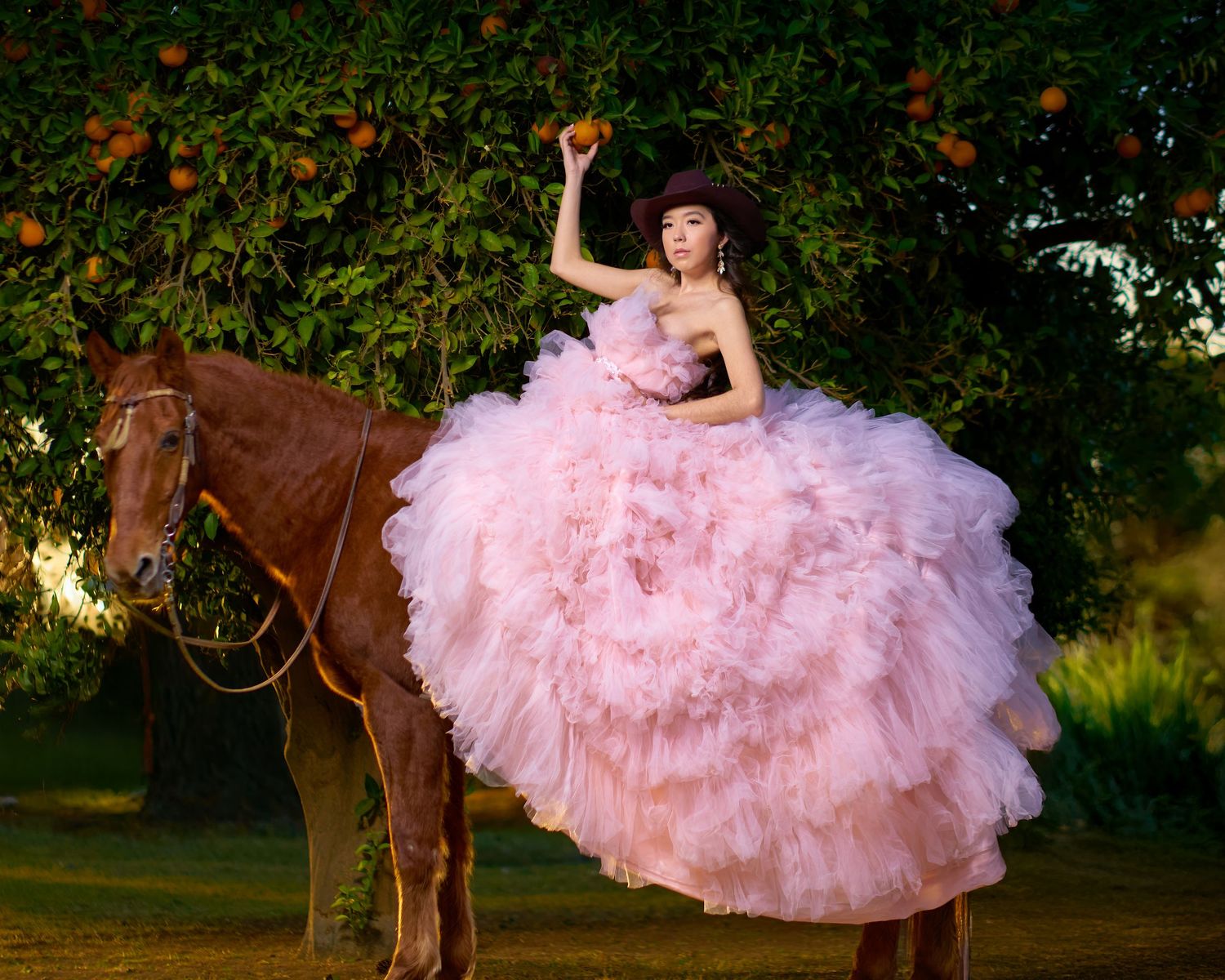 Pink tulle gown photographed in a garden setting with a brown horse in the background. Photographer RL Davis