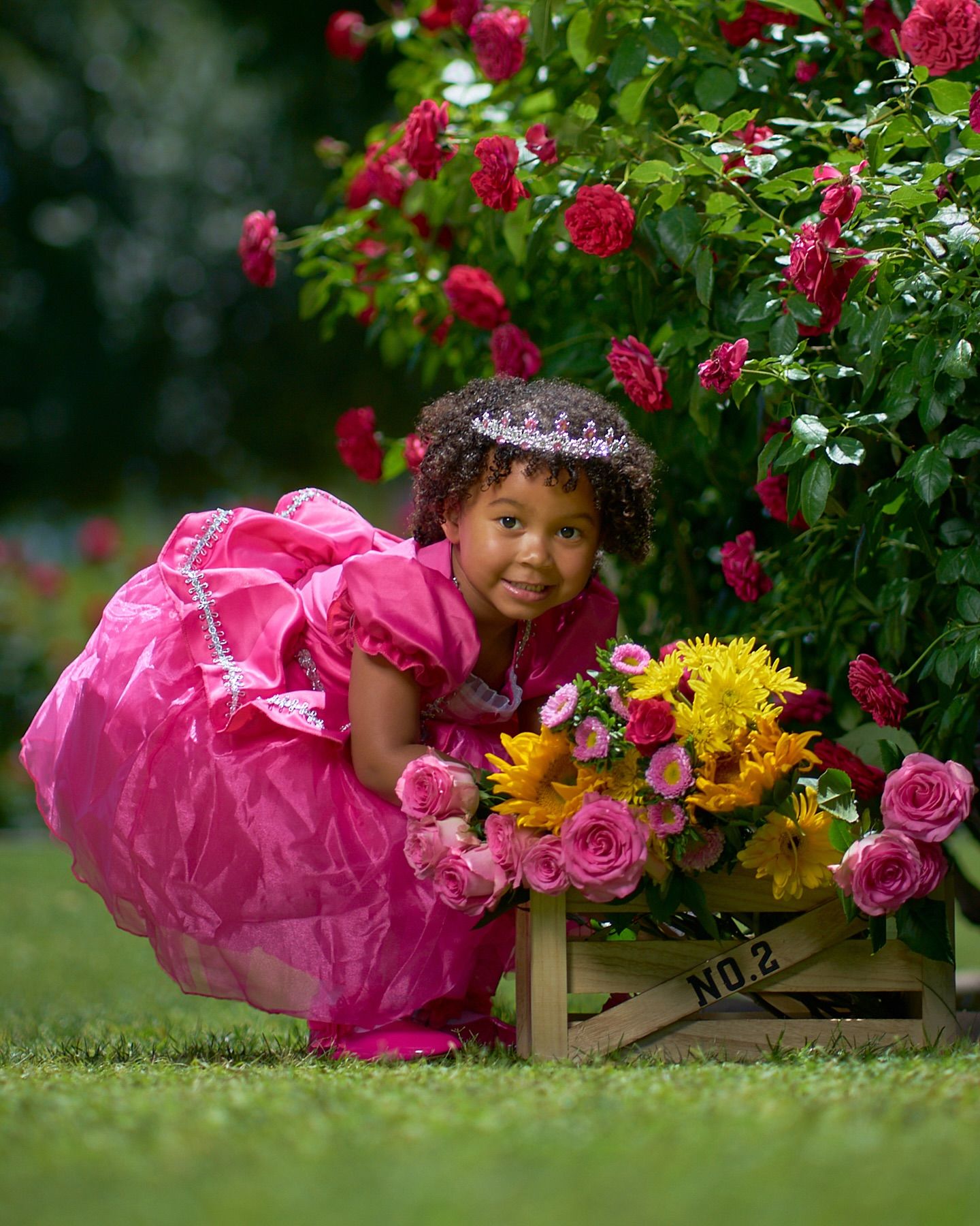A young child in a puffy pink dress plays near rose bushes with sunflowers and pink blooms. Photographer RL Davis