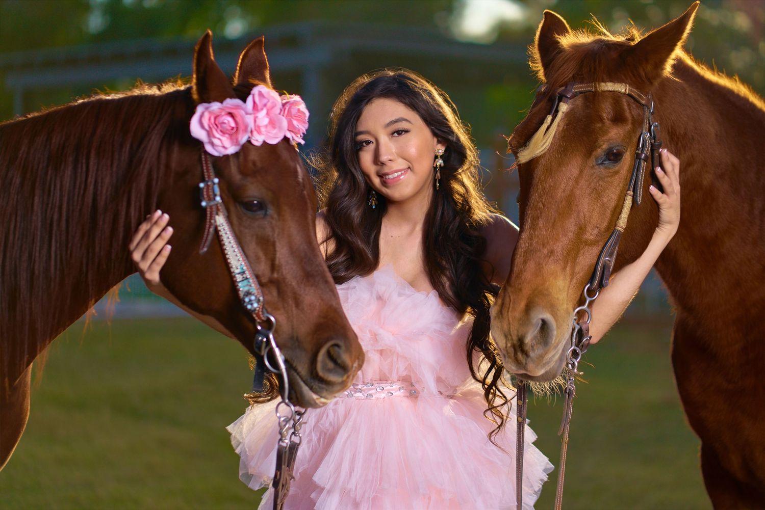 Pink formal dress photoshoot with a brown horse in natural evening lighting. Photographer RL Davis
