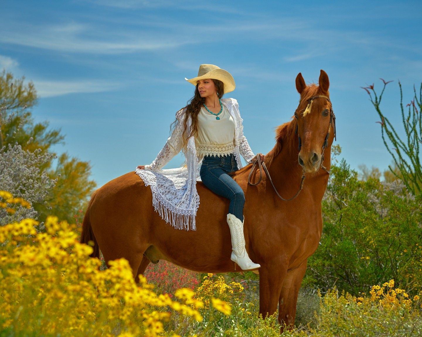 Horses standing in a field of yellow wildflowers against blue sky. Photographer RL Davis