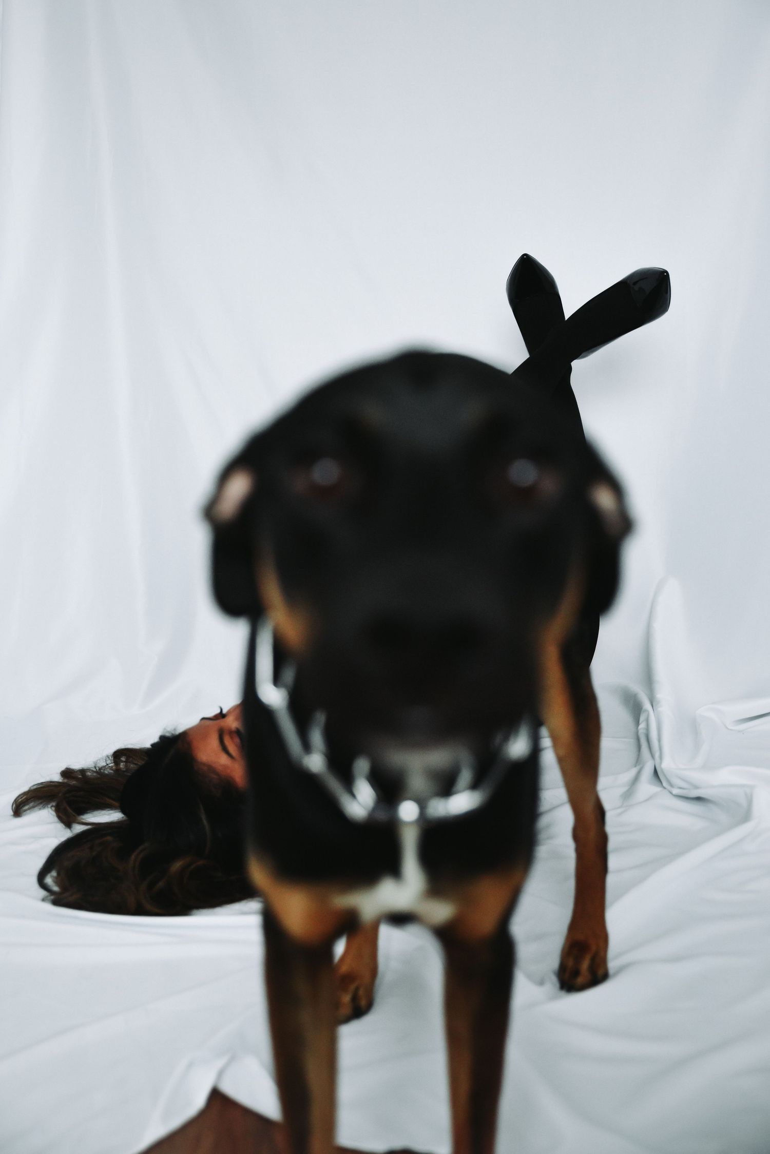 Cartaret, NJ Photoshoot, Pets, Studio Northern NJ