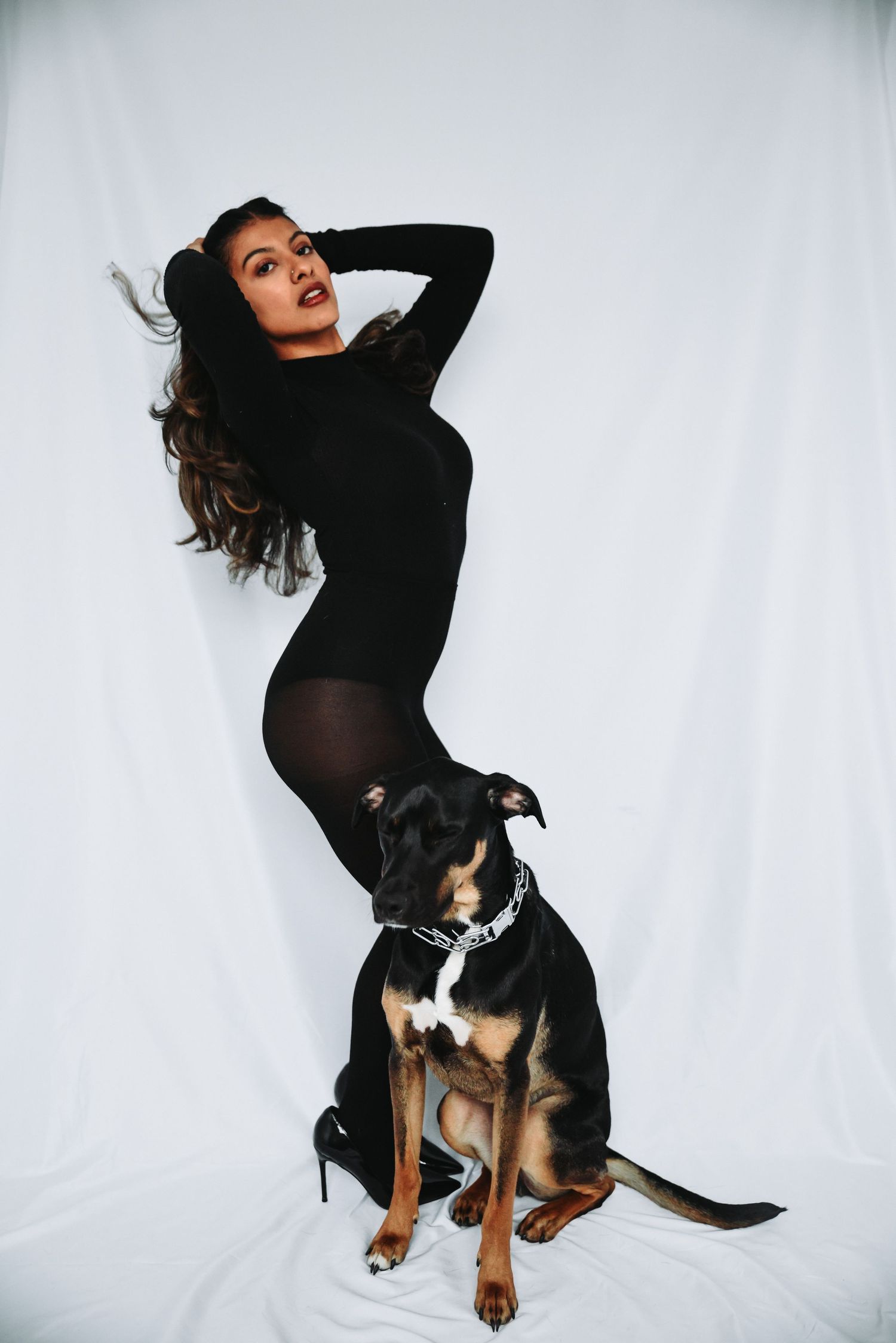 Cartaret, NJ Photoshoot, Pets, Studio Northern NJ