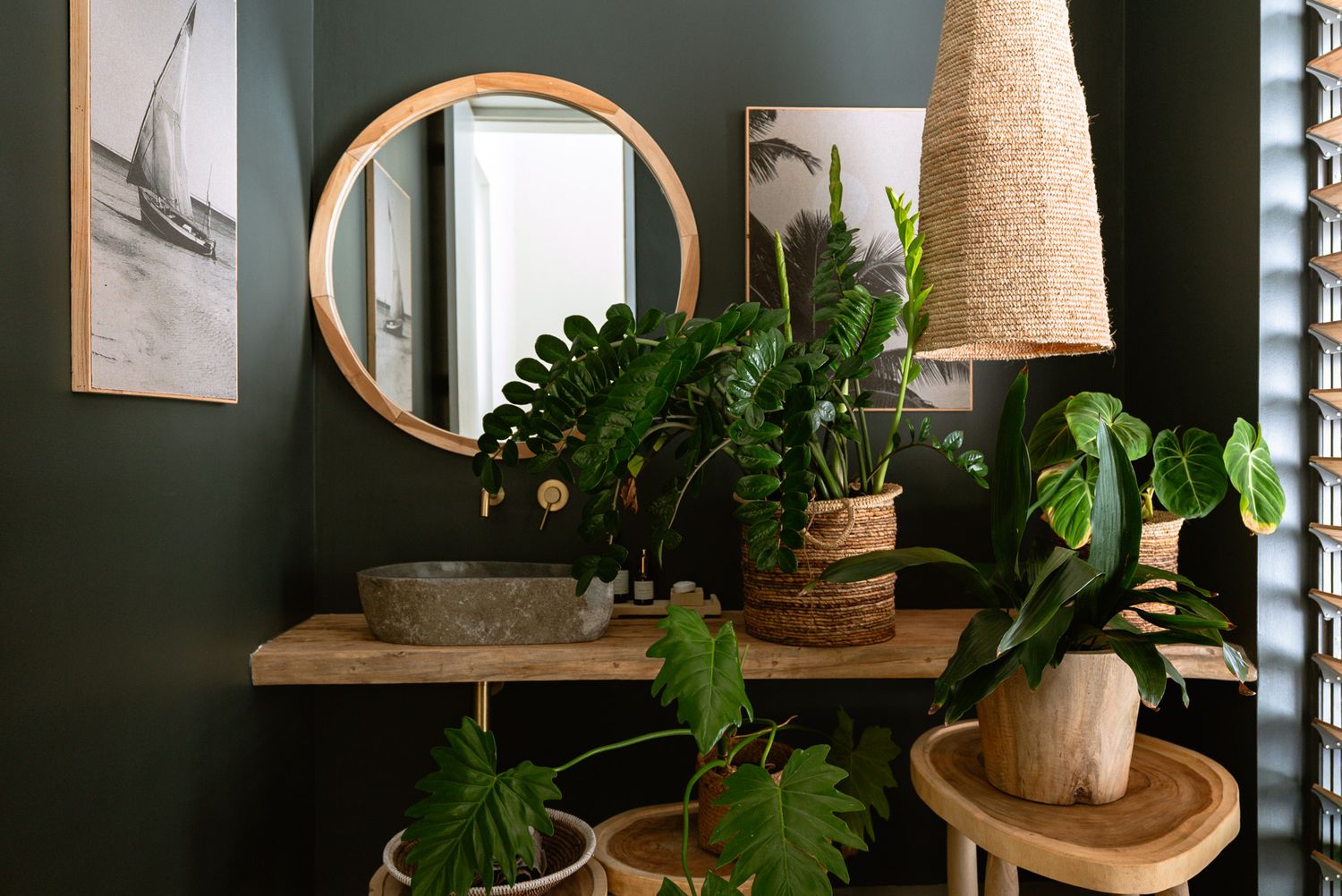 Dark green wall decorated with wooden shelves, plants and natural cork lamp shades.