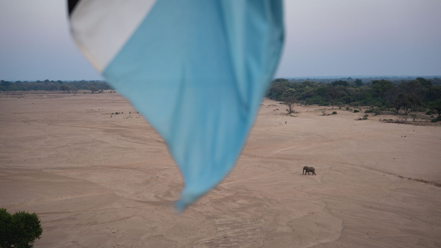 A light blue fabric flutters in the foreground with a distant elephant visible on sandy terrain.