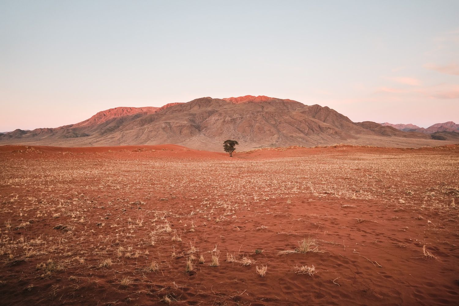 Rusty red desert plains extending toward distant mountains under a pale sky.