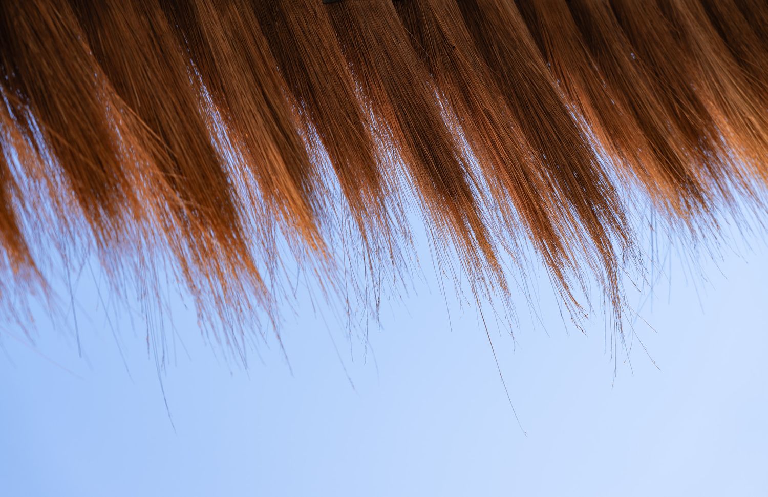 Brown thatched roof detail against bright blue sky in tropical setting.