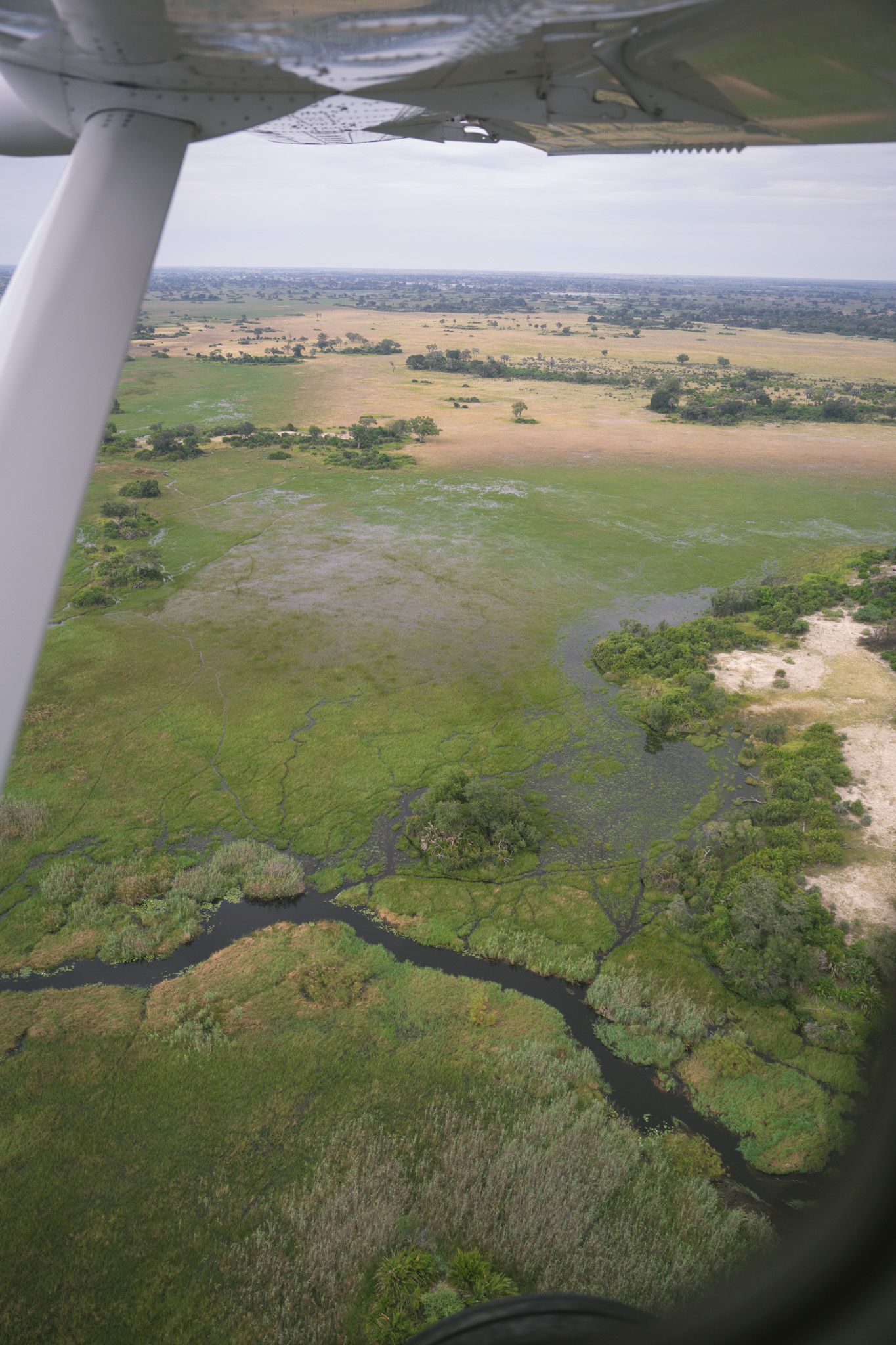 Bird's eye view of winding rivers and wetlands through green savanna landscape.
