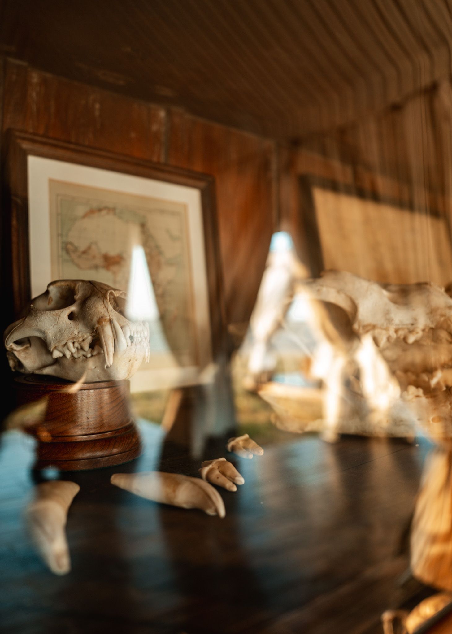 Decorative white ceramic pieces displayed on a dark wooden surface with dramatic lighting.