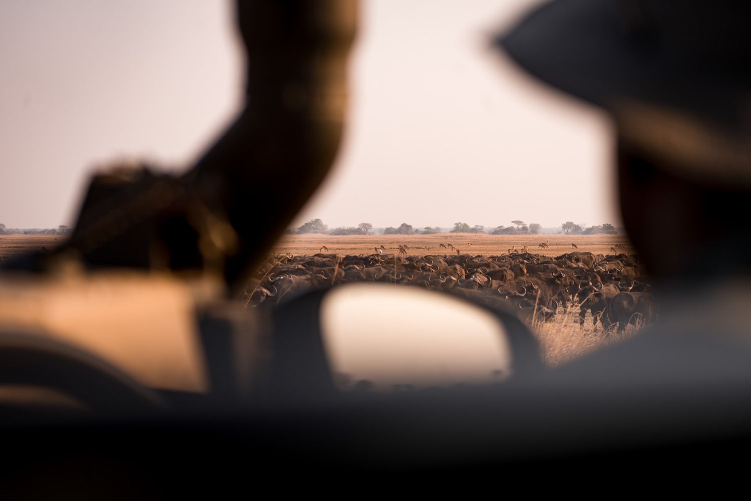 Scenic safari landscape viewed through a vehicle window at sunset.