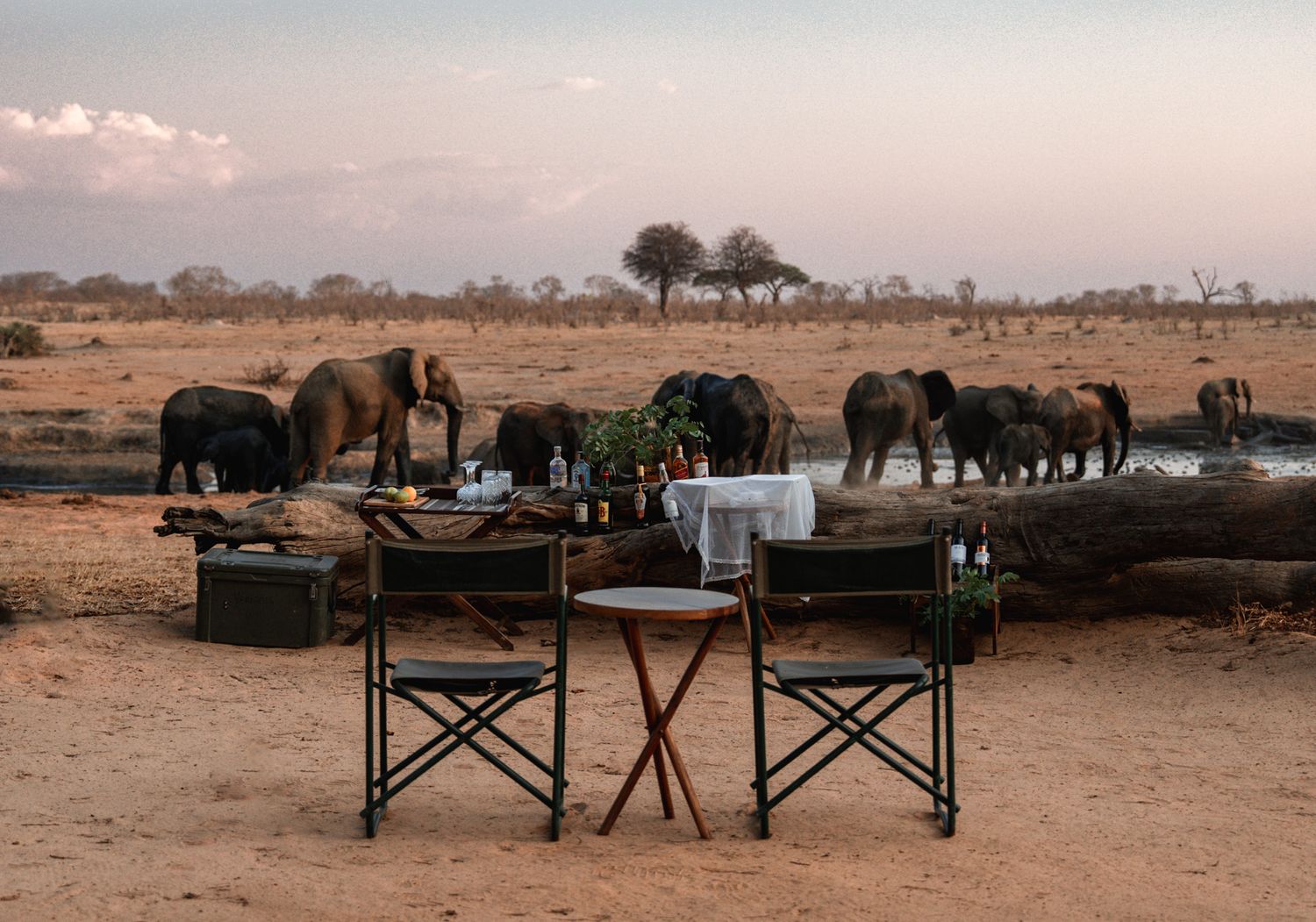 Luxury safari setup with table and chairs overlooking elephants at a waterhole in Africa.