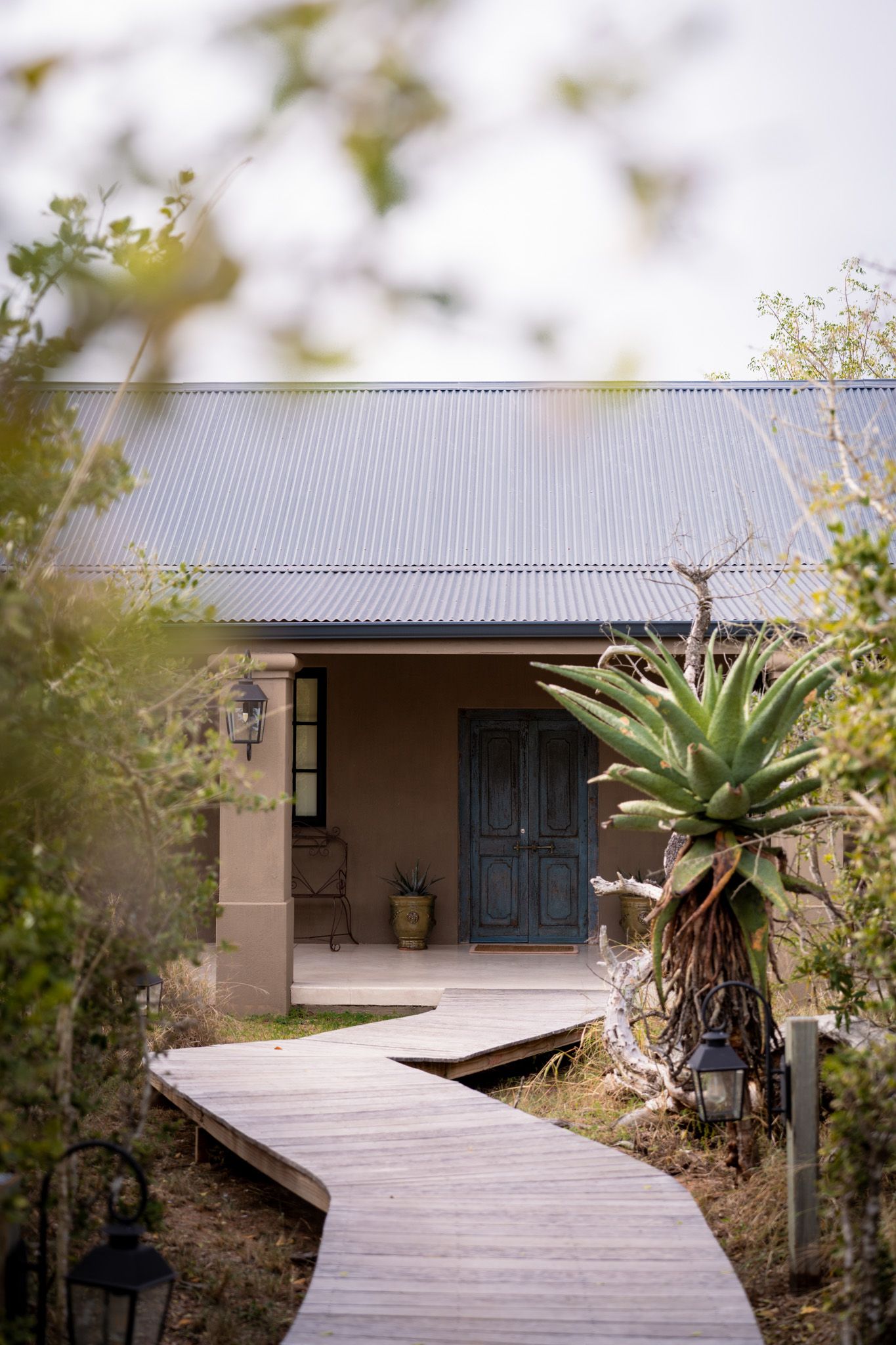 A curved wooden boardwalk leads to a modern cottage with a blue door and large succulent plant by the entrance.