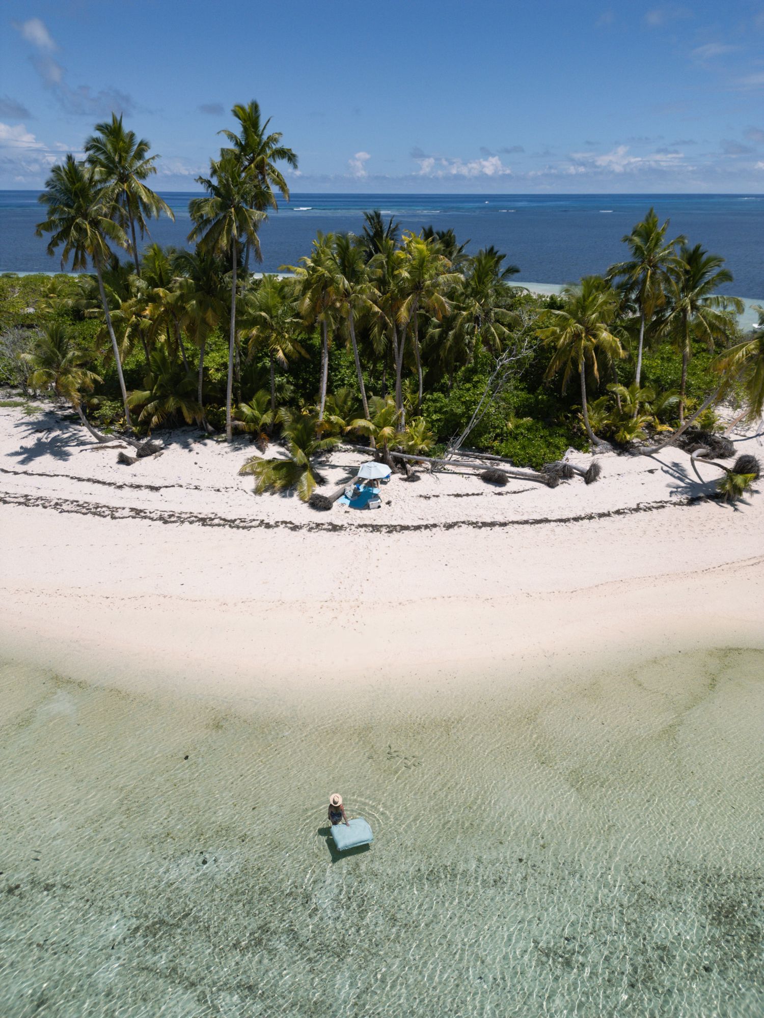 Tropical beach paradise with palm trees and crystal clear waters seen from above.